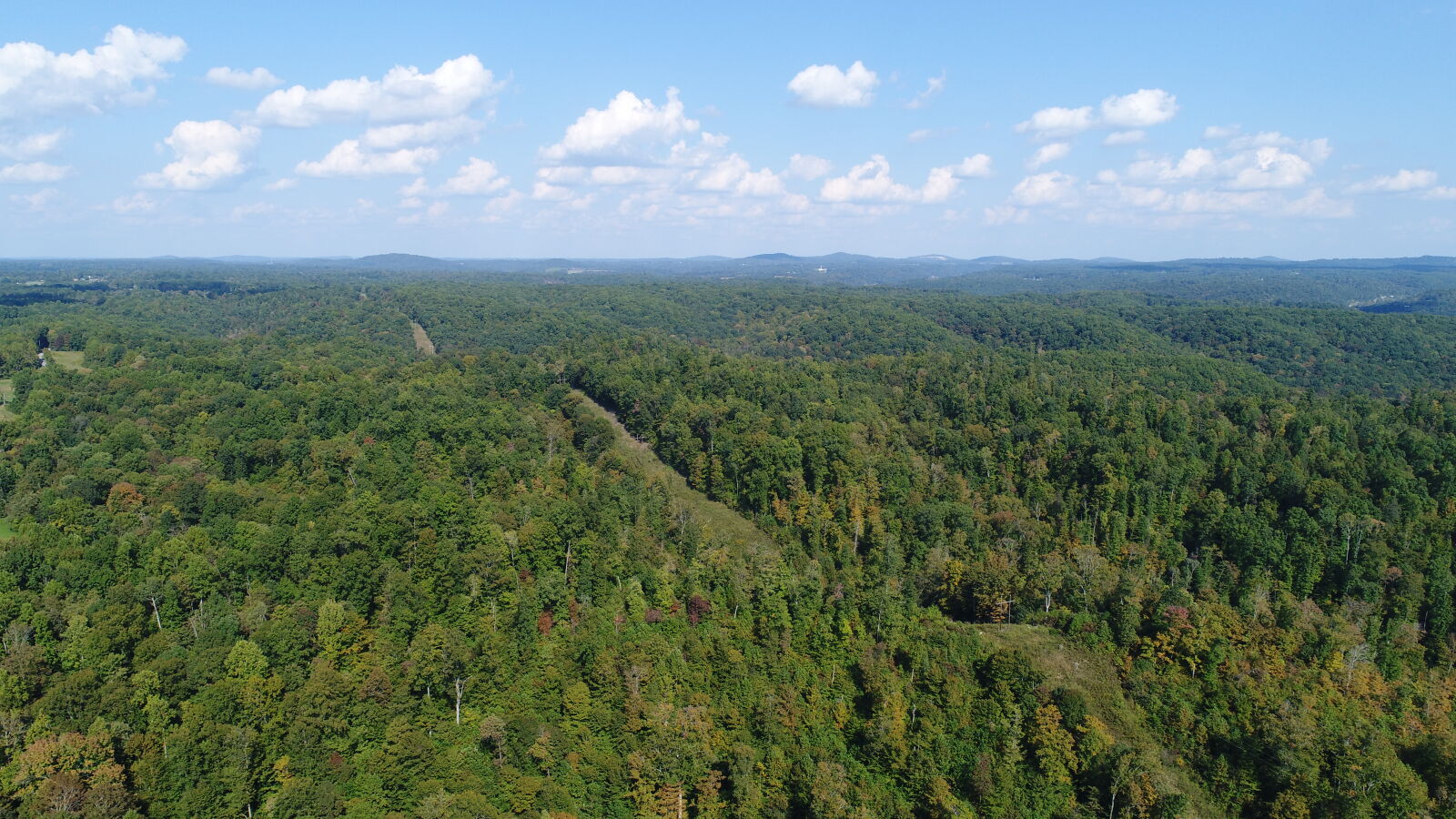 DJI FC6310 sample photo. Blue, skies, blue, sky photography