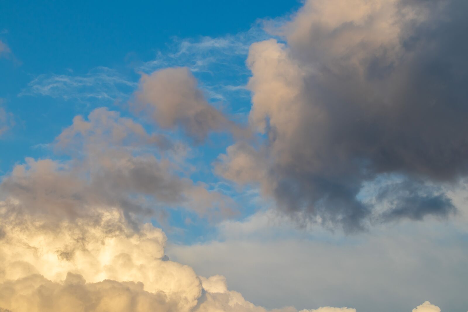 Canon EOS M50 (EOS Kiss M) sample photo. Sky, blue, yellow photography