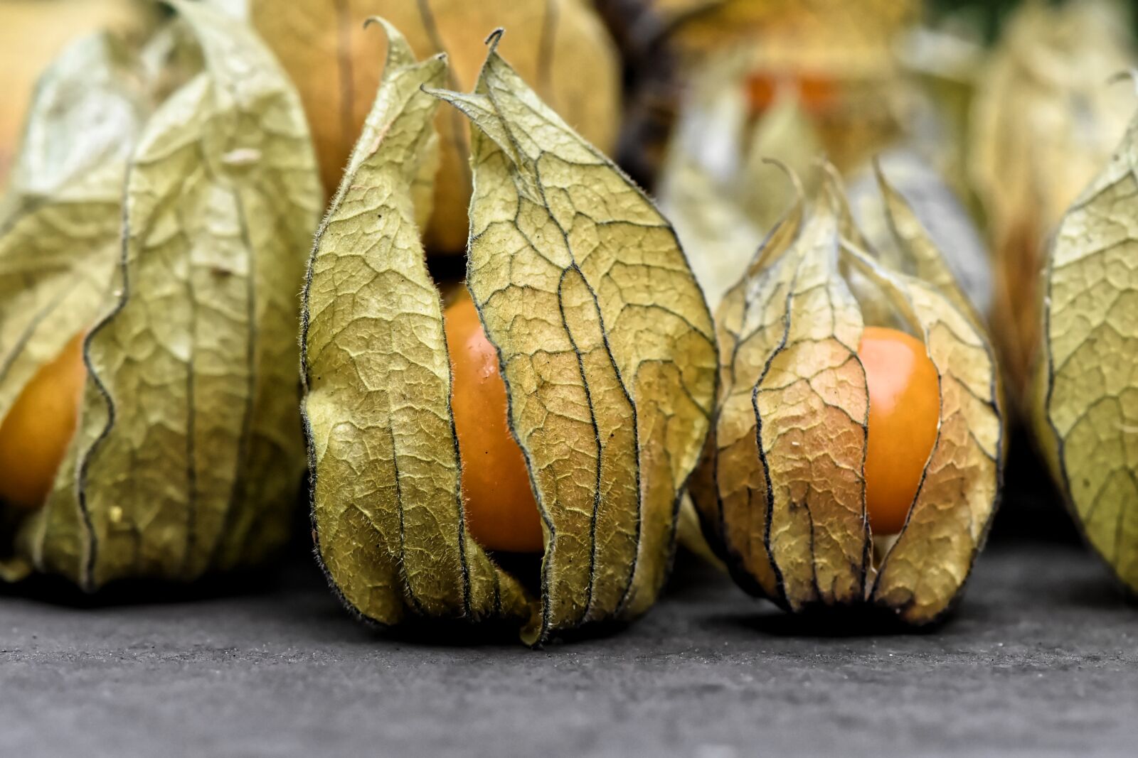 Nikon D7200 sample photo. Physalis, fruit, berry photography