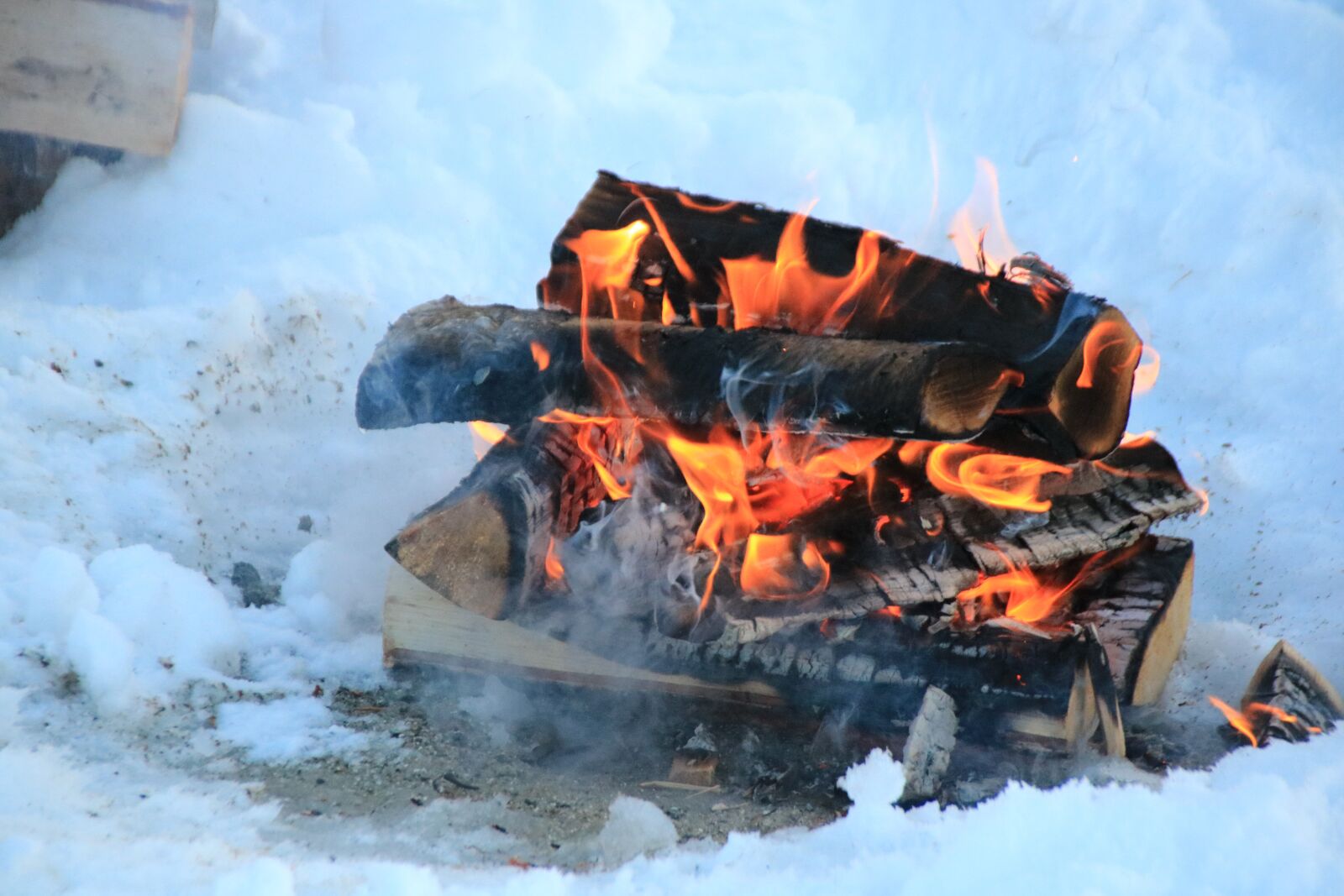 Canon EOS 750D (EOS Rebel T6i / EOS Kiss X8i) sample photo. Campfire, flames, fire photography
