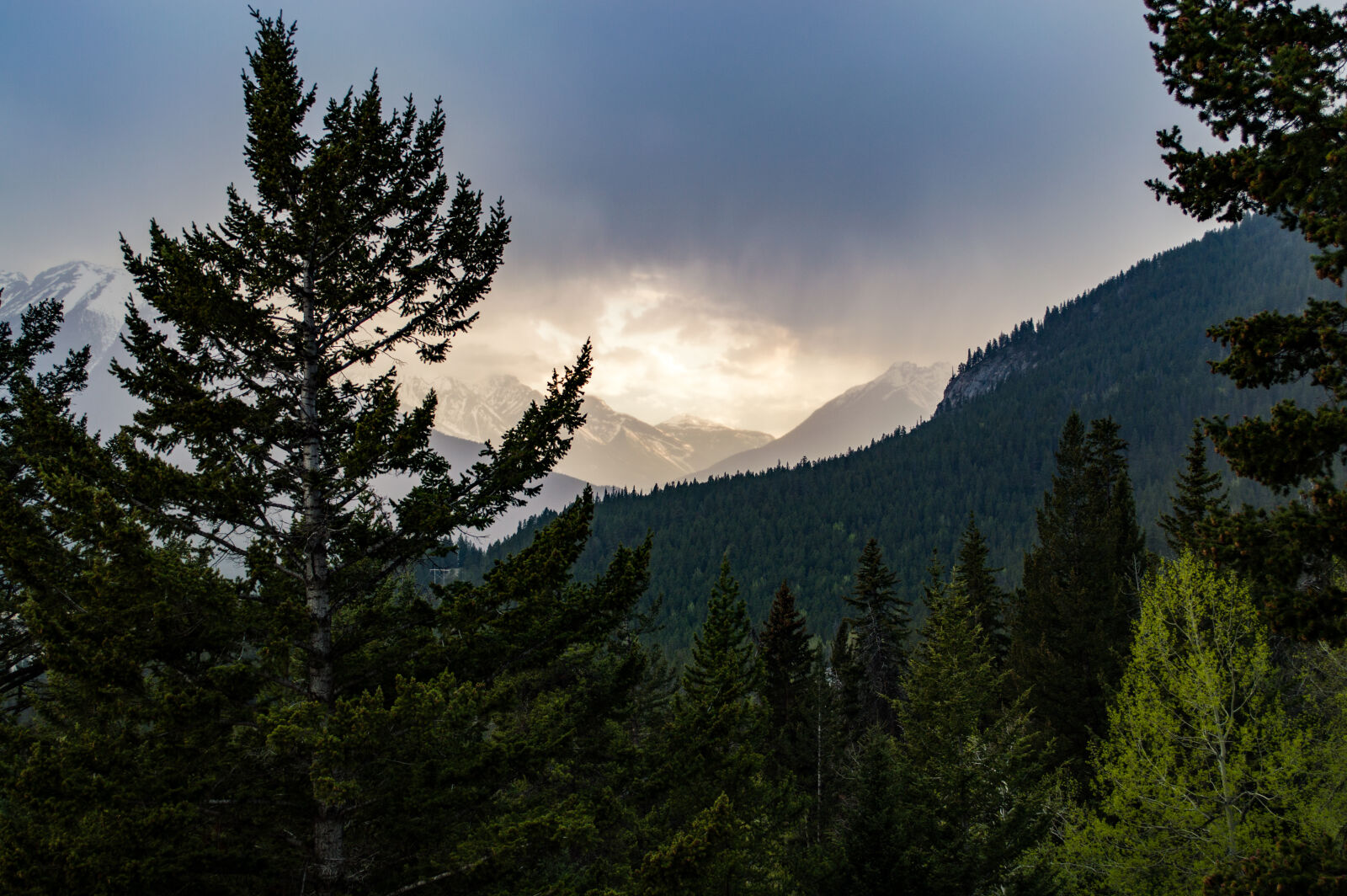 Nikon D3200 sample photo. Banff, beauty, canada, canadian photography