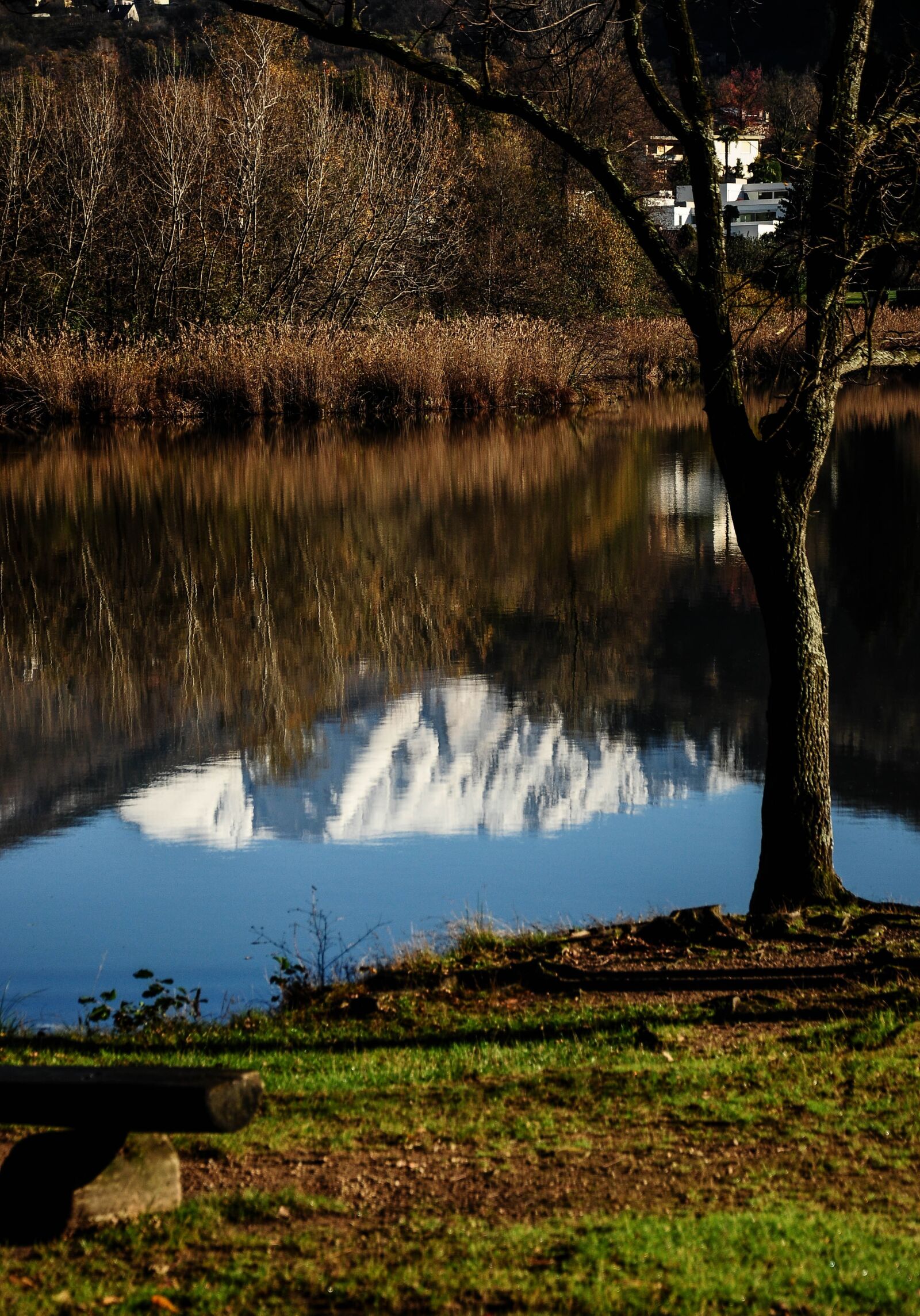Nikon D90 sample photo. Origlio, lake, reflections photography