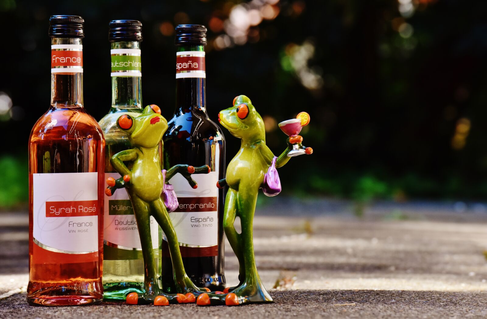 Nikon D7200 sample photo. Frogs, wine, drink photography