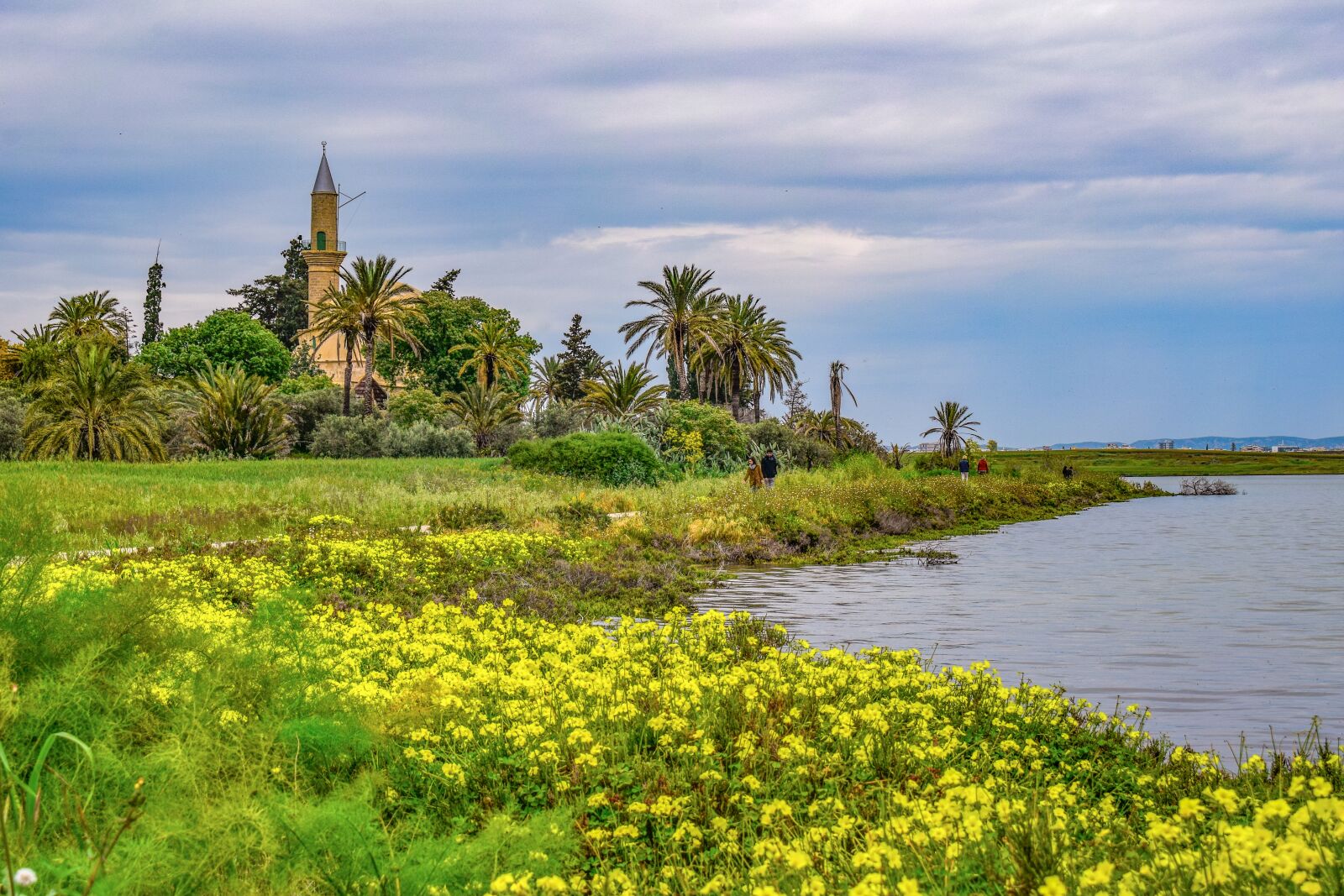 Nikon D3300 sample photo. Cyprus, larnaca, lake photography