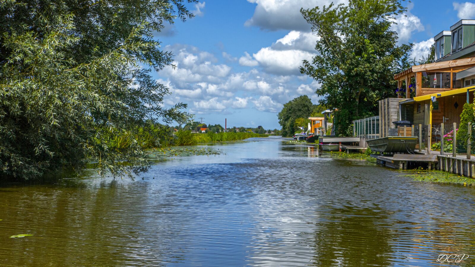 Panasonic Lumix DMC-FZ1000 sample photo. Birchwood, water, landscape photography