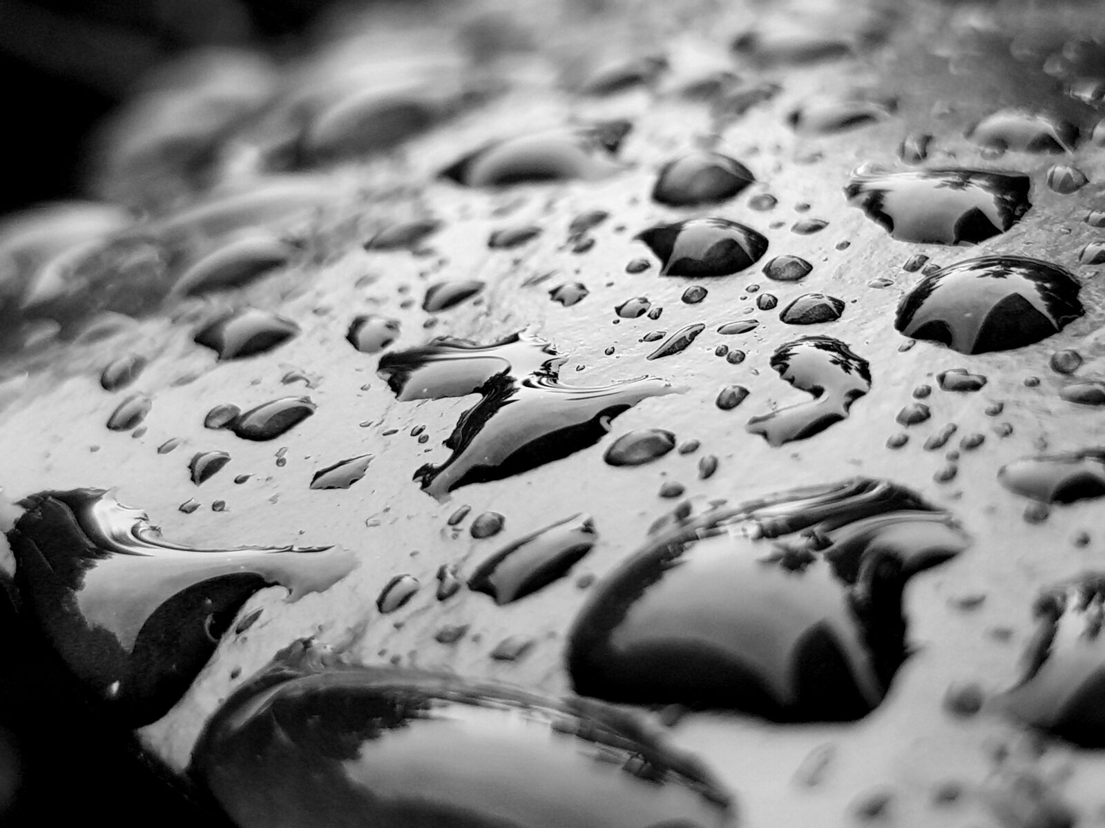 Samsung Galaxy S8 sample photo. Black, black, and, white photography