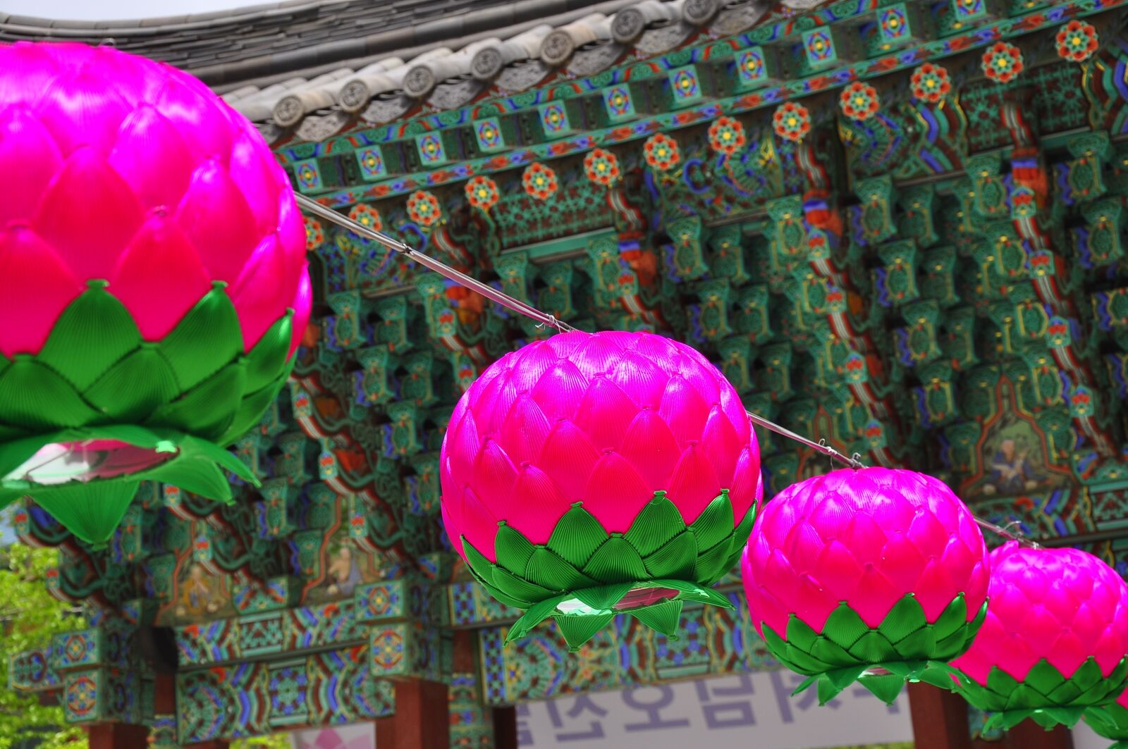 Nikon D90 sample photo. Korea, temple, lotus photography