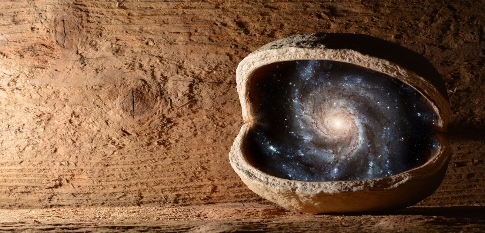 Nikon D7100 sample photo. Nut, walnut, universe photography