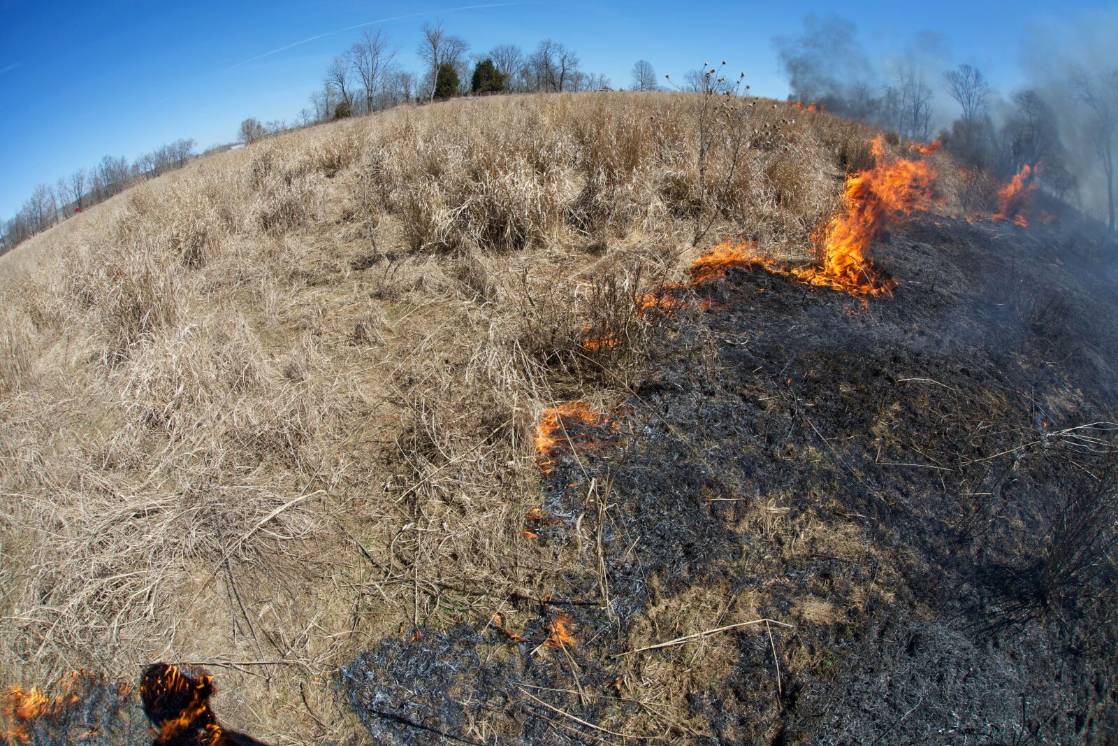 Canon EOS 5D Mark III sample photo. Fire, management, fires, flame photography
