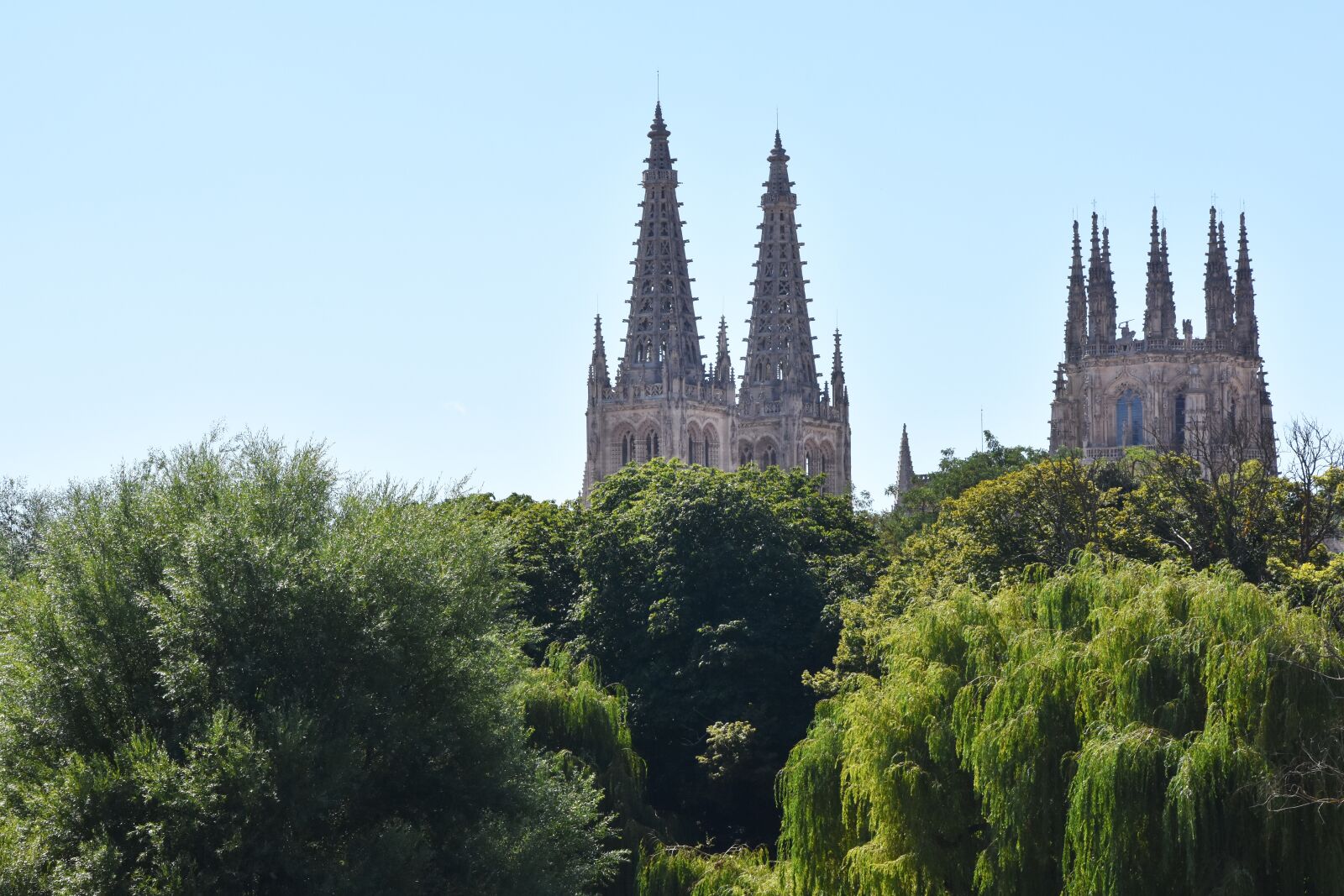 Nikon D7200 sample photo. Burgos, catedral, cathedral photography