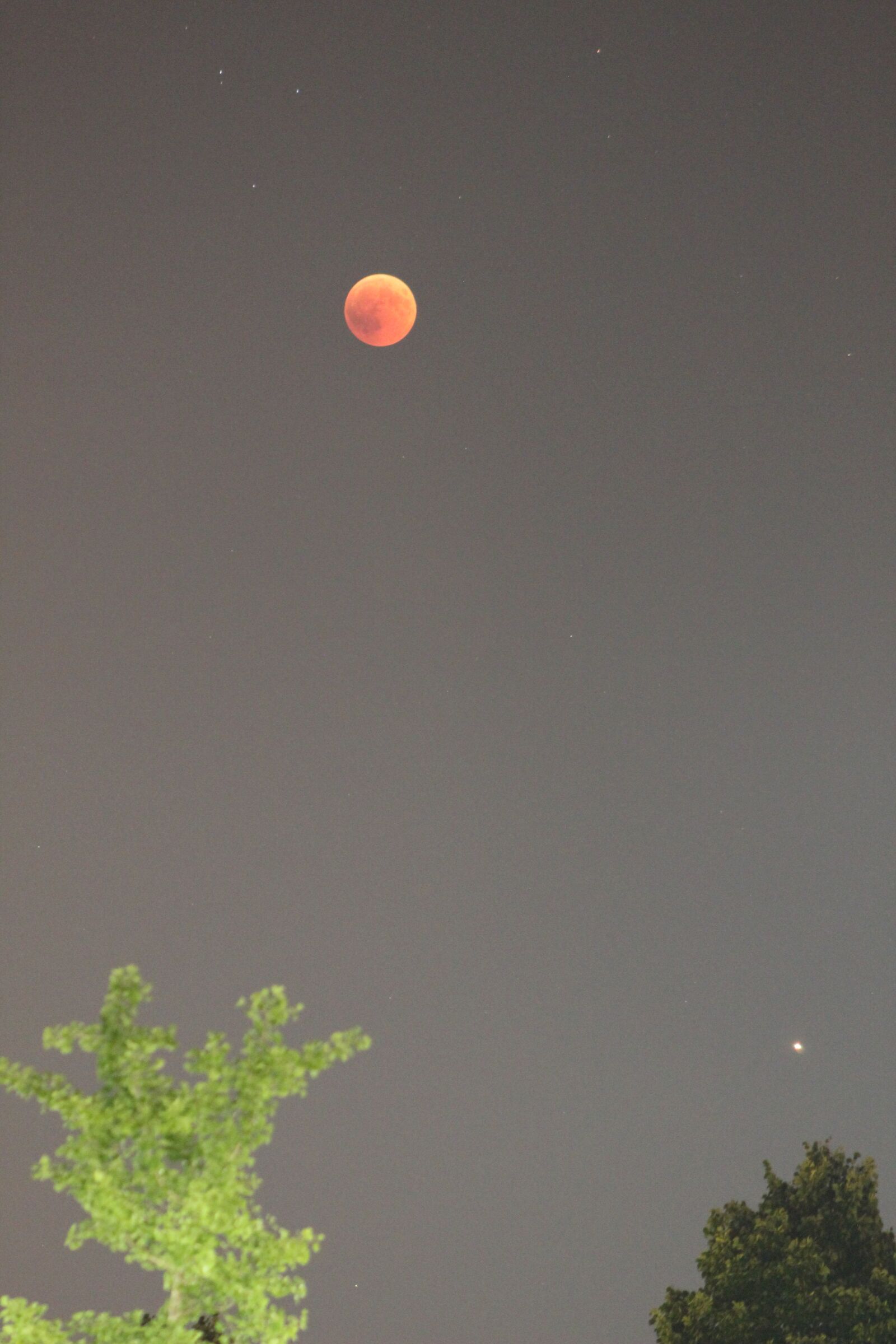 Canon EOS 1200D (EOS Rebel T5 / EOS Kiss X70 / EOS Hi) + Canon EF75-300mm f/4-5.6 sample photo. Eclipse, luna, july 2018 photography