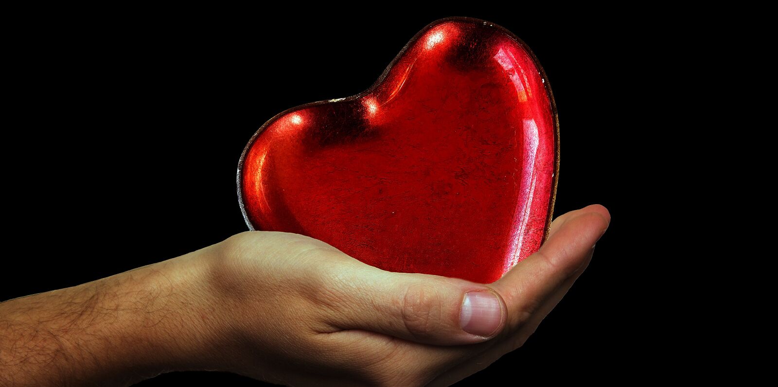 Canon EOS 600D (Rebel EOS T3i / EOS Kiss X5) sample photo. Heart, hands, heart give photography