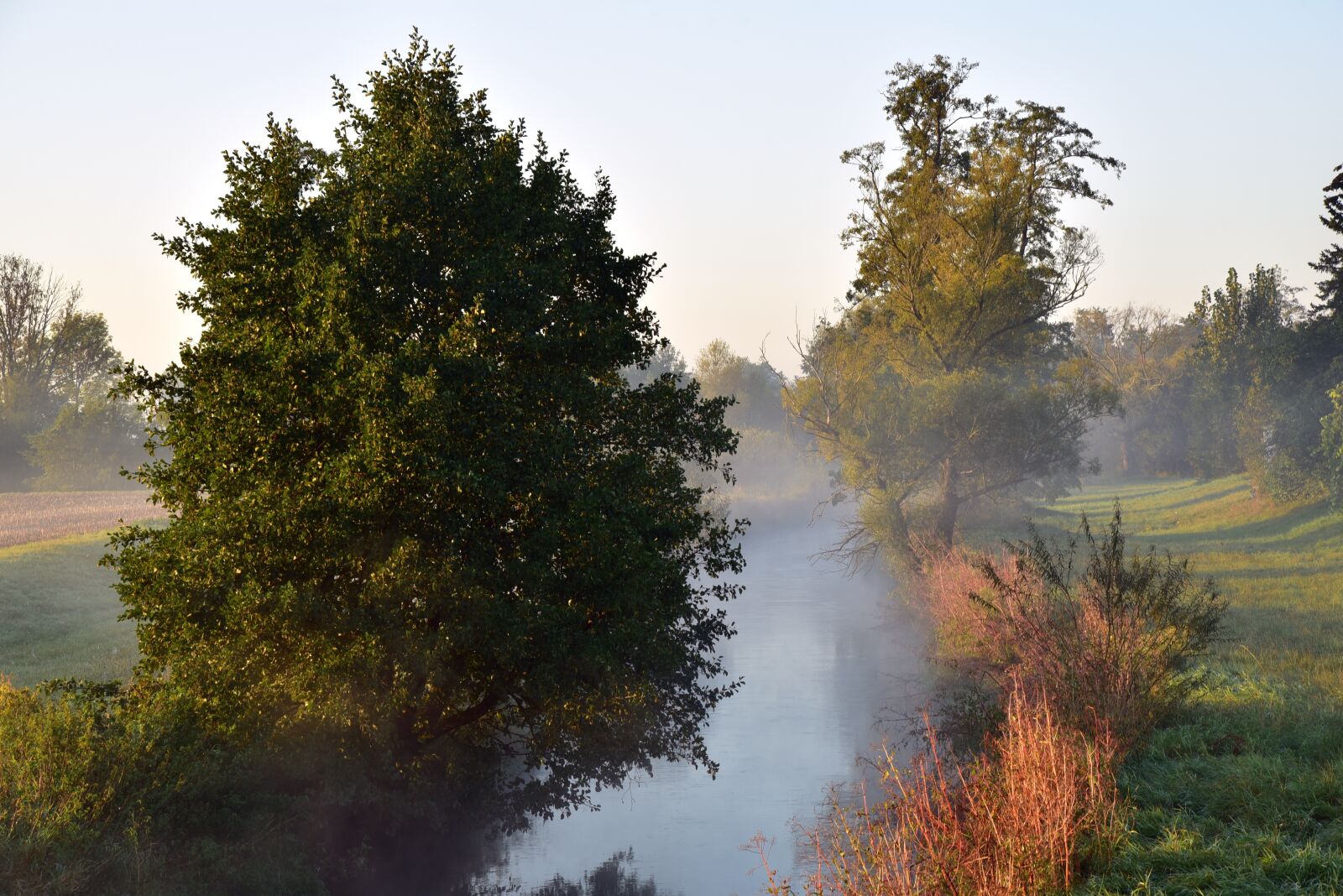 Nikon D750 sample photo. Morning haze, autumn, nature photography