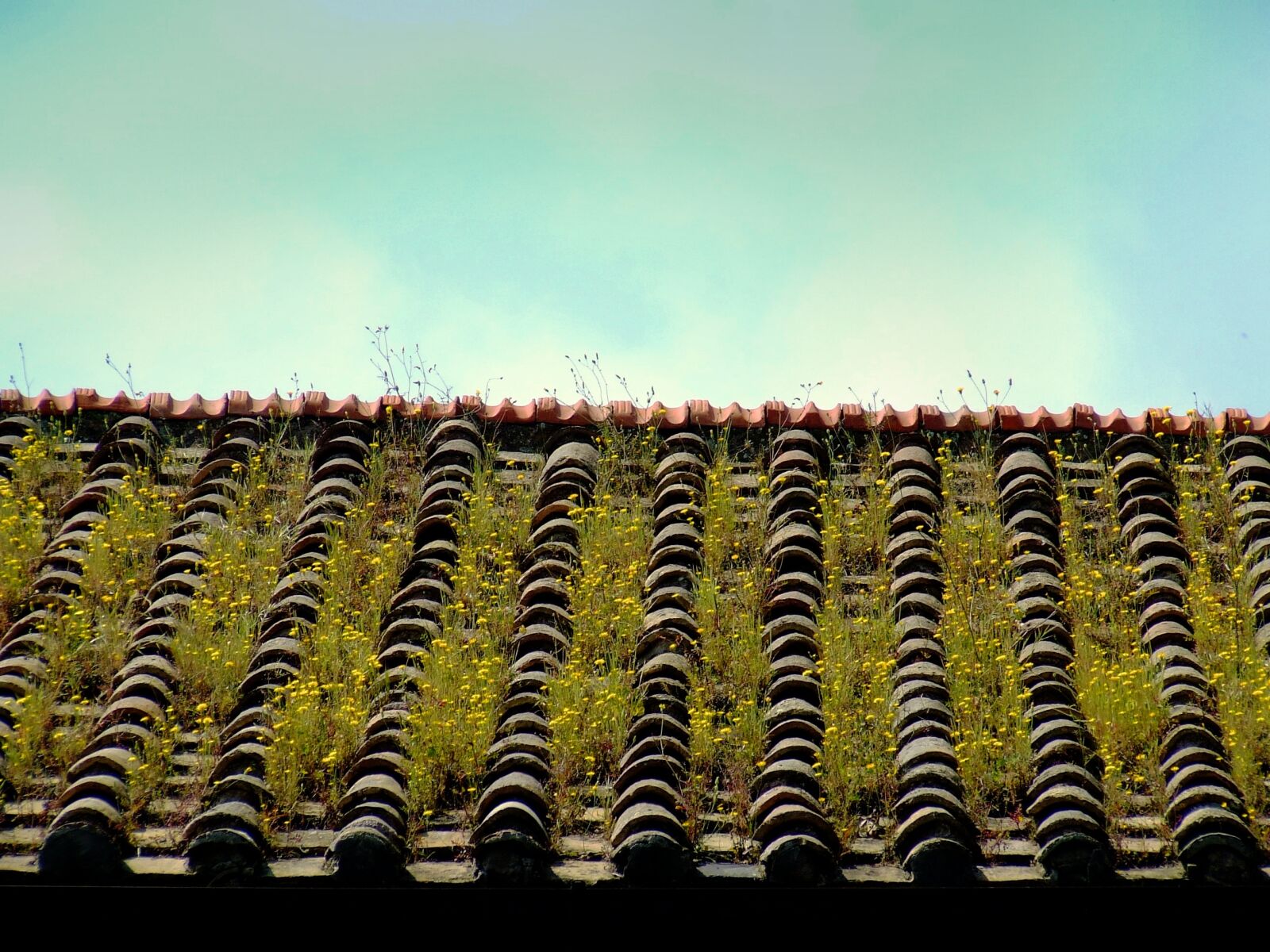 Fujifilm FinePix S5600 sample photo. Roof, tile, house photography