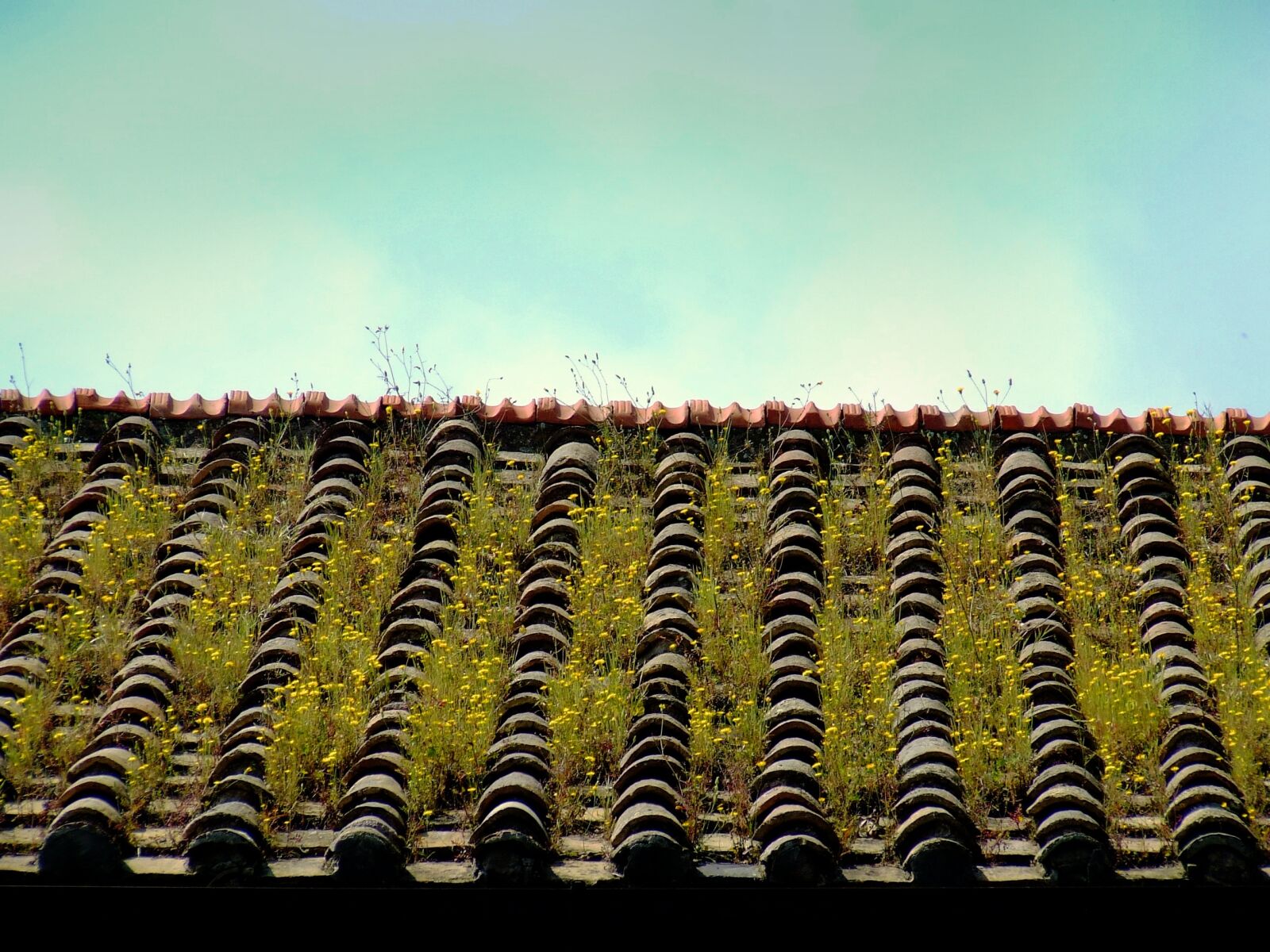 Fujifilm FinePix S5600 sample photo. Roof, tile, house photography