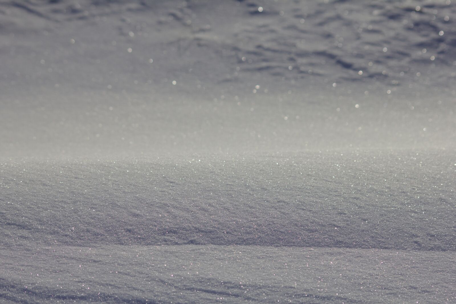 Canon EOS 550D (EOS Rebel T2i / EOS Kiss X4) sample photo. Snow, white, cold photography