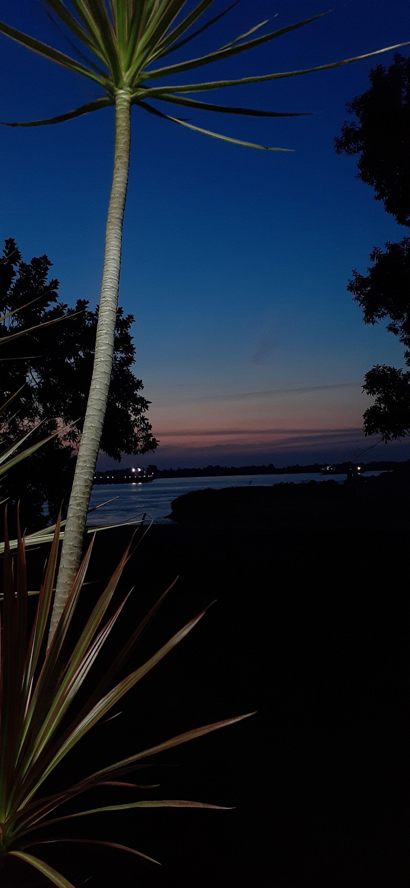Samsung Galaxy A20 sample photo. Dark, night, sky photography