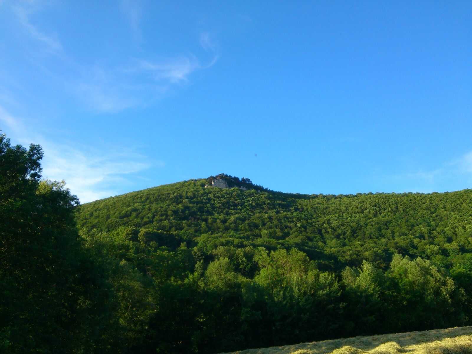 Sony Ericsson Xperia arc S sample photo. Forest, swabian alb, highlands photography
