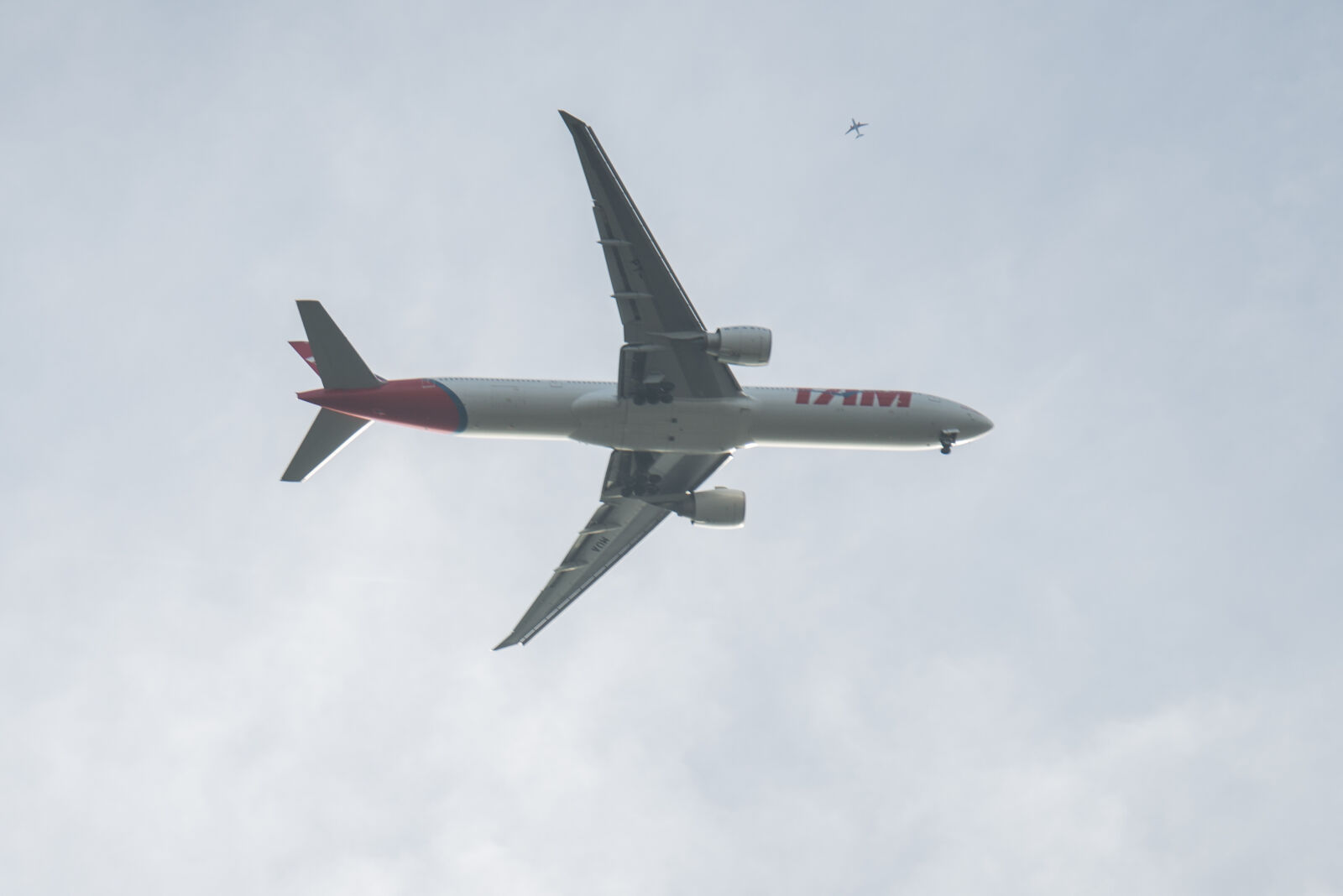 Nikon D600 sample photo. Air, big, boeing, flight photography