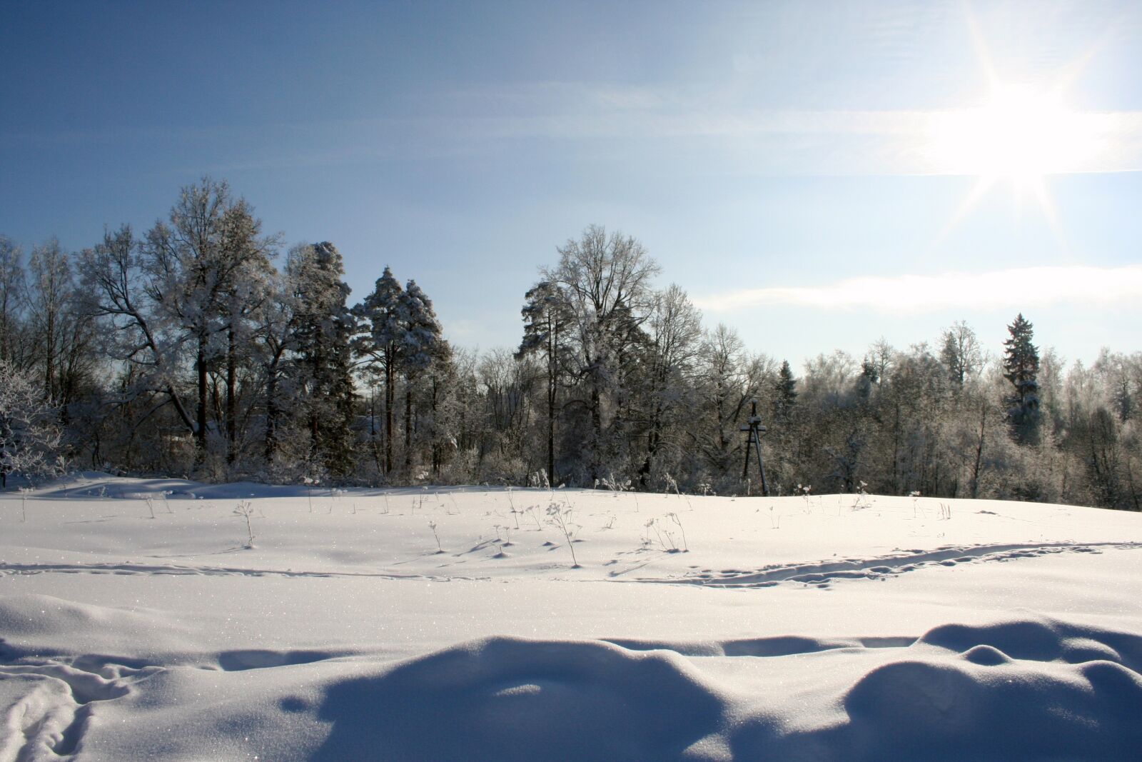 Canon EOS 350D (EOS Digital Rebel XT / EOS Kiss Digital N) sample photo. Russian winter, winter, zimushka photography