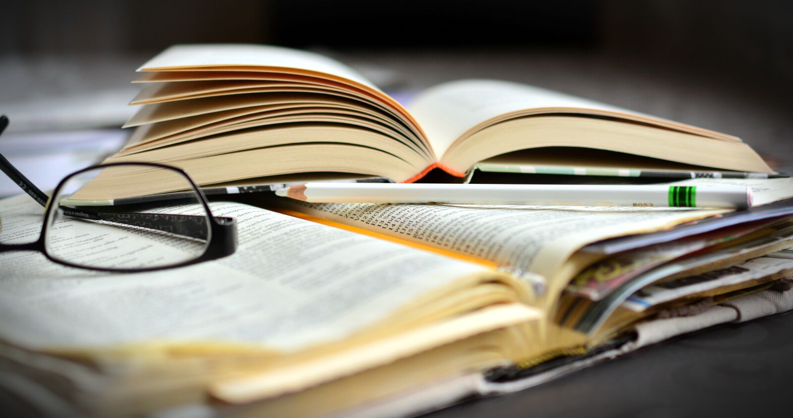Nikon D5200 sample photo. Books, read, write photography