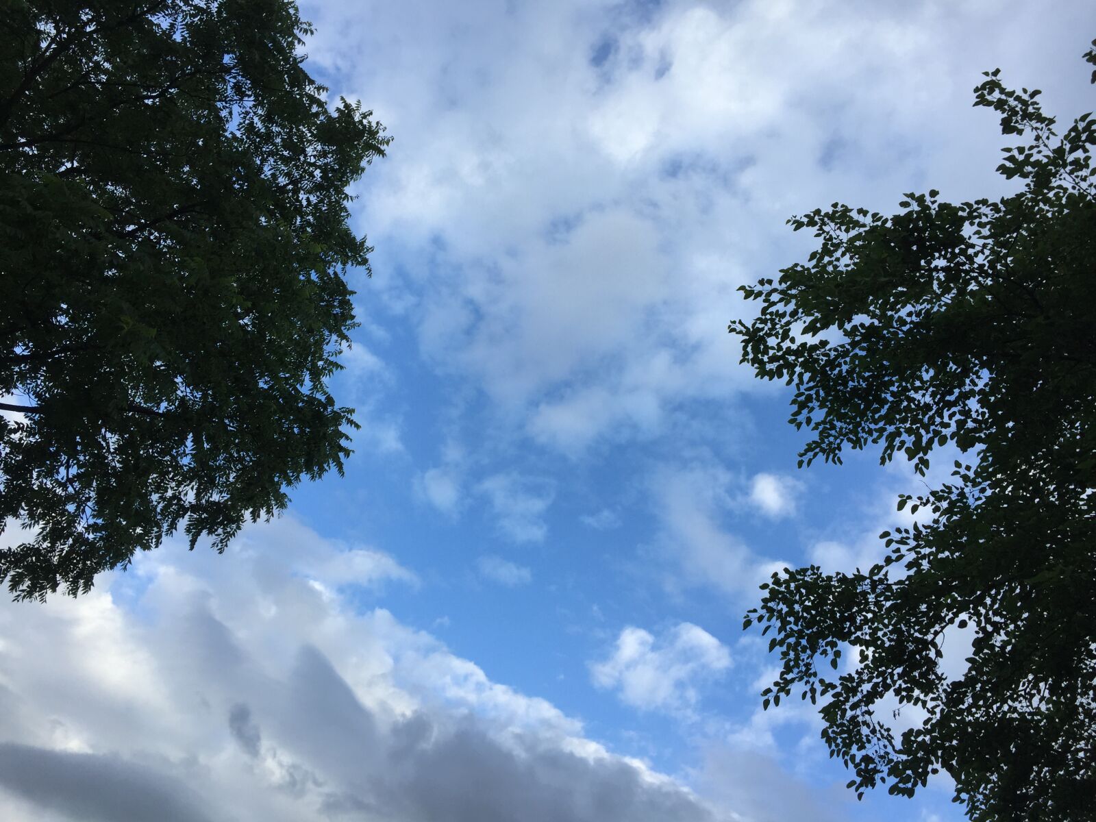 iPhone 6 back camera 4.15mm f/2.2 sample photo. Blue, cloudy, sky photography