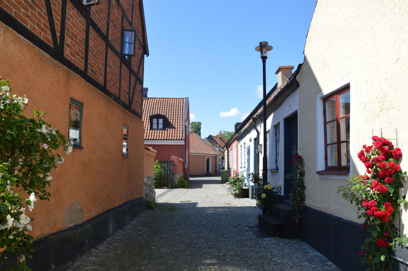 Nikon D3200 sample photo. Simrishamn, skåne, sweden photography