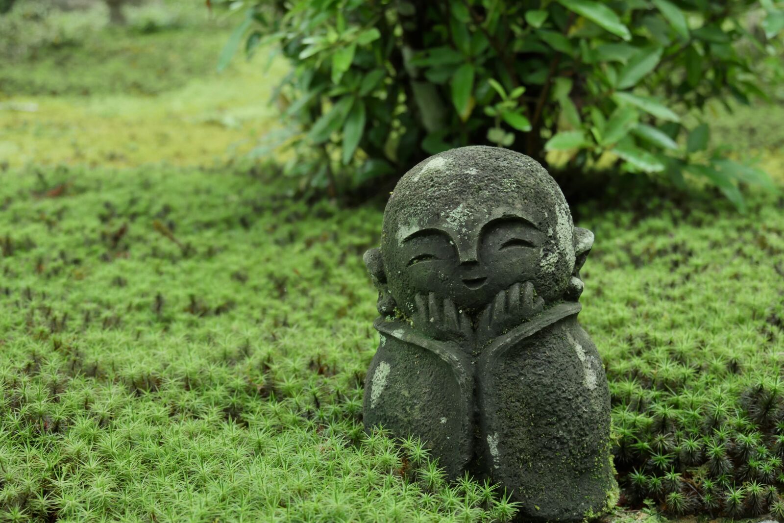 Panasonic Lumix DMC-GX8 sample photo. Jizo, cute, enkoji temple photography