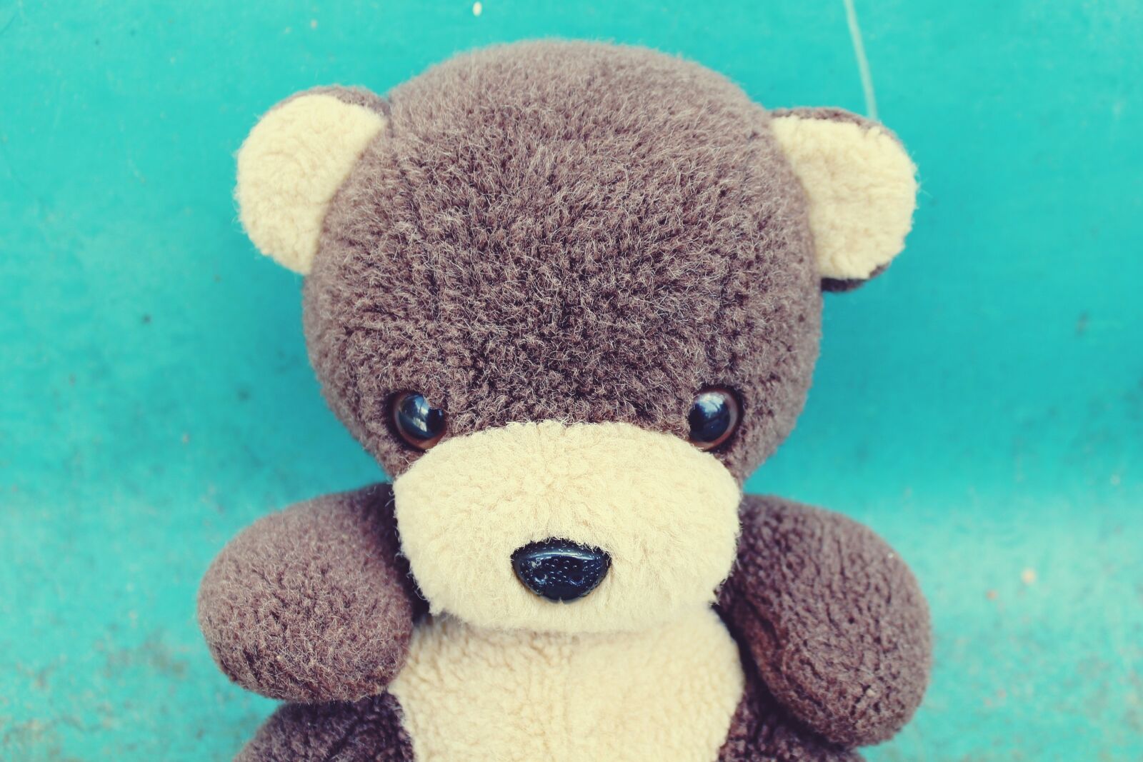 Canon EOS 1200D (EOS Rebel T5 / EOS Kiss X70 / EOS Hi) sample photo. Teddy, teddy bear, bear photography