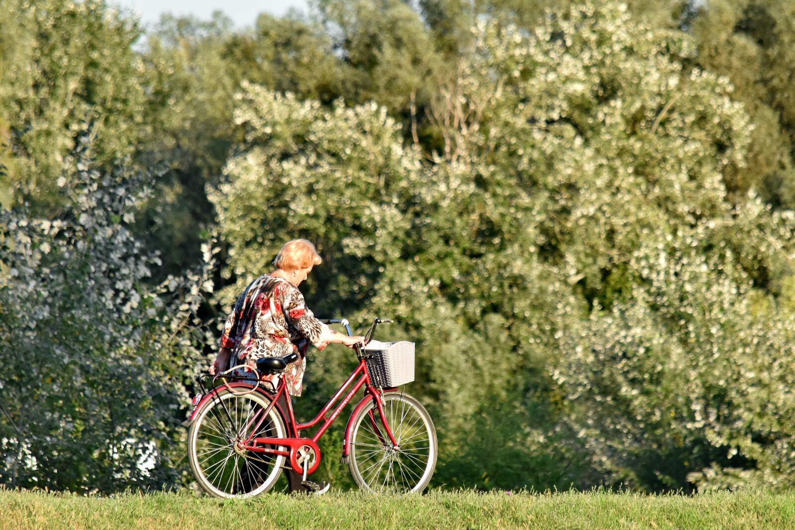 Nikon D5500 sample photo. Bicycle, enjoyment, forest, grandmother photography