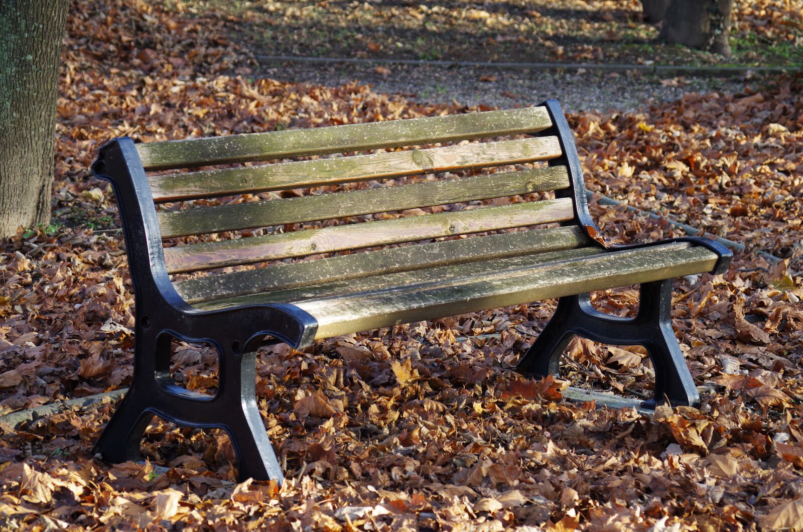 Pentax K-500 sample photo. Bench, park, autumn photography