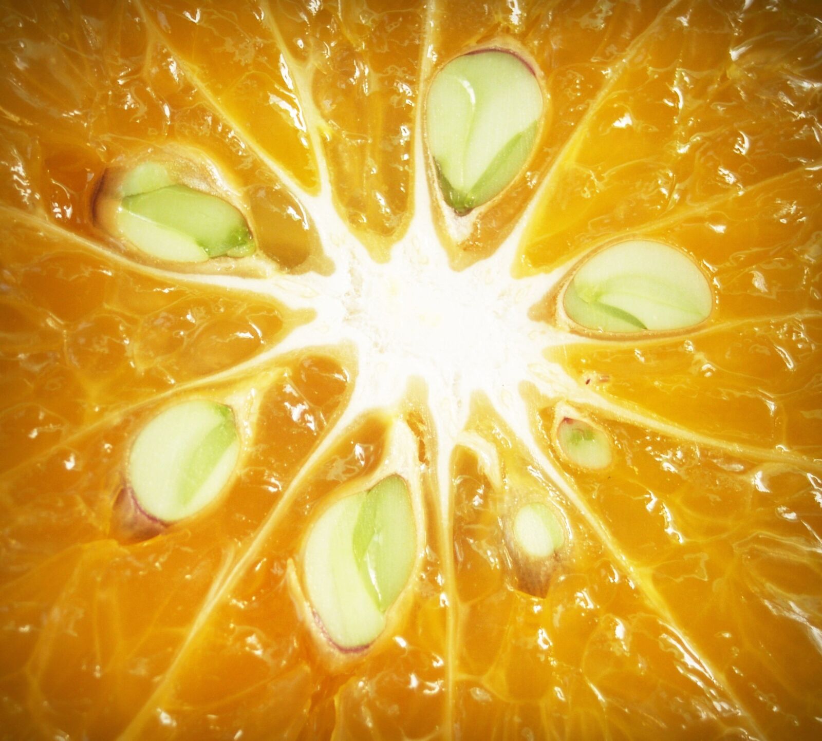 Olympus E-300 (EVOLT E-300) sample photo. Orange, fruit, slice photography