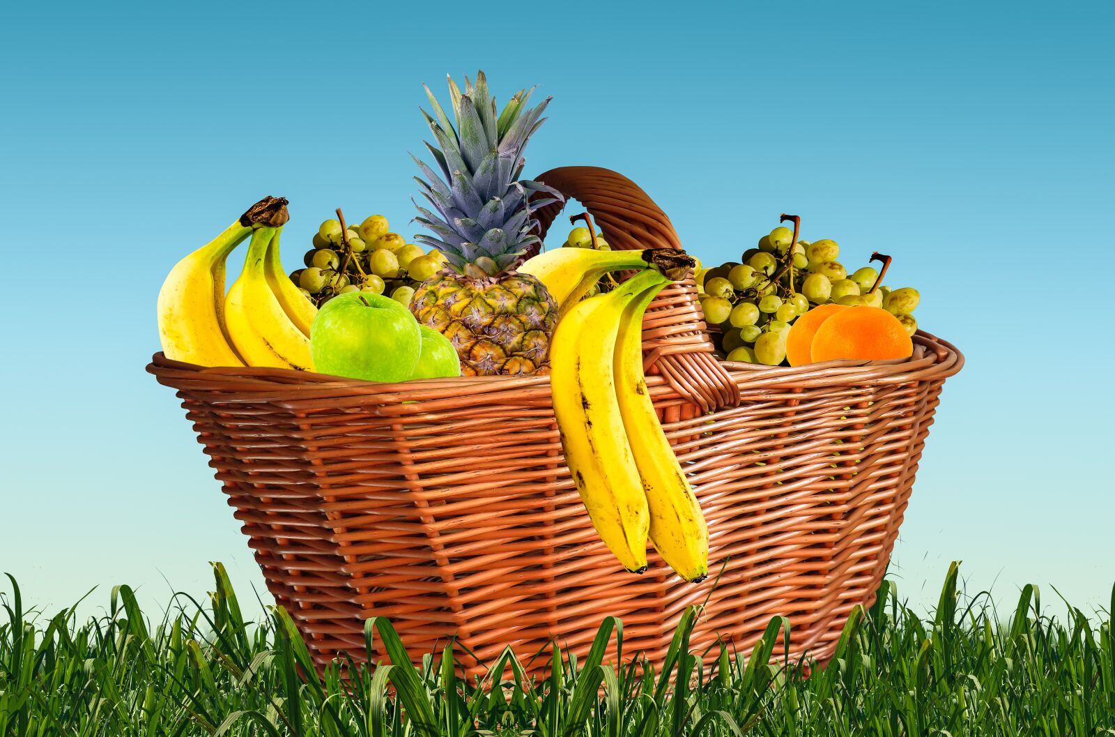 Canon PowerShot SX710 HS sample photo. Fruit basket, fruits, fruit photography