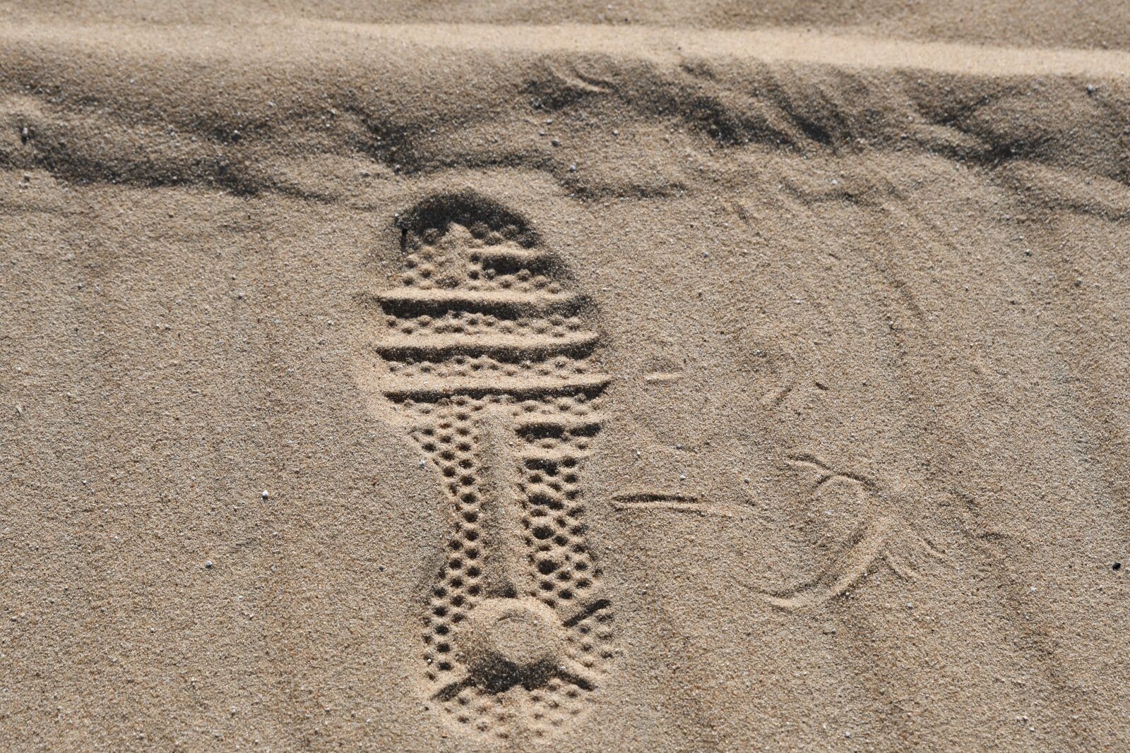 Nikon D500 sample photo. Sand, desert, dunes photography