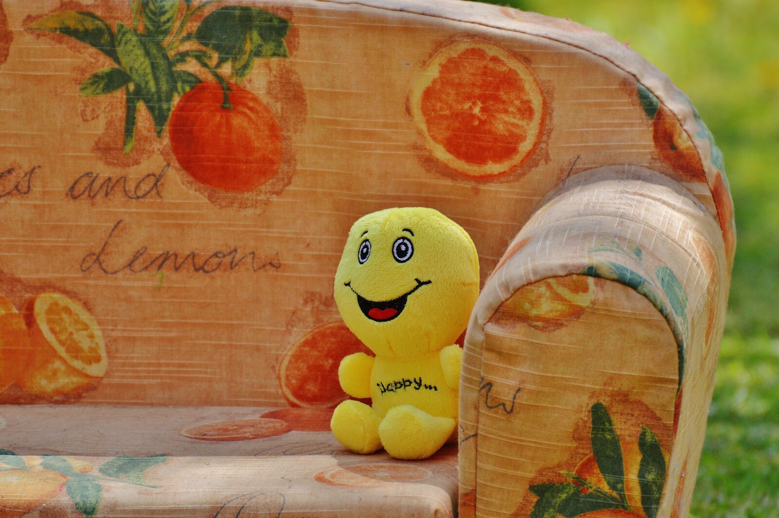 Nikon D3200 sample photo. Smiley, laugh, sofa photography