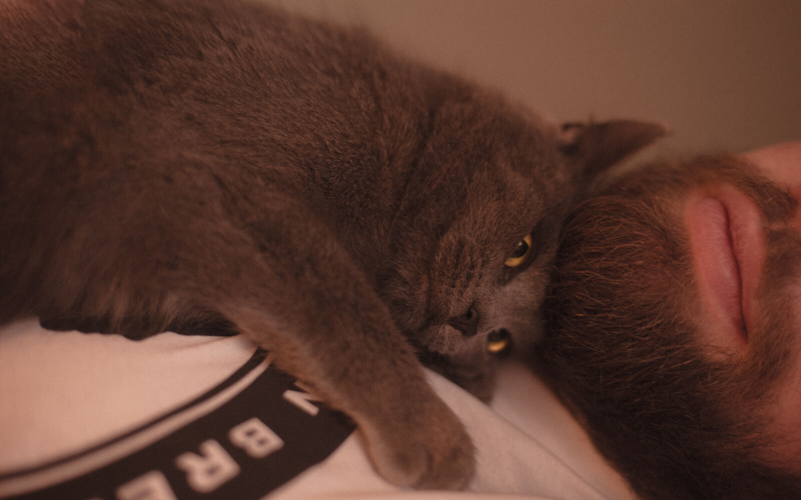 Canon EOS 6D + Canon EF 50mm F1.4 USM sample photo