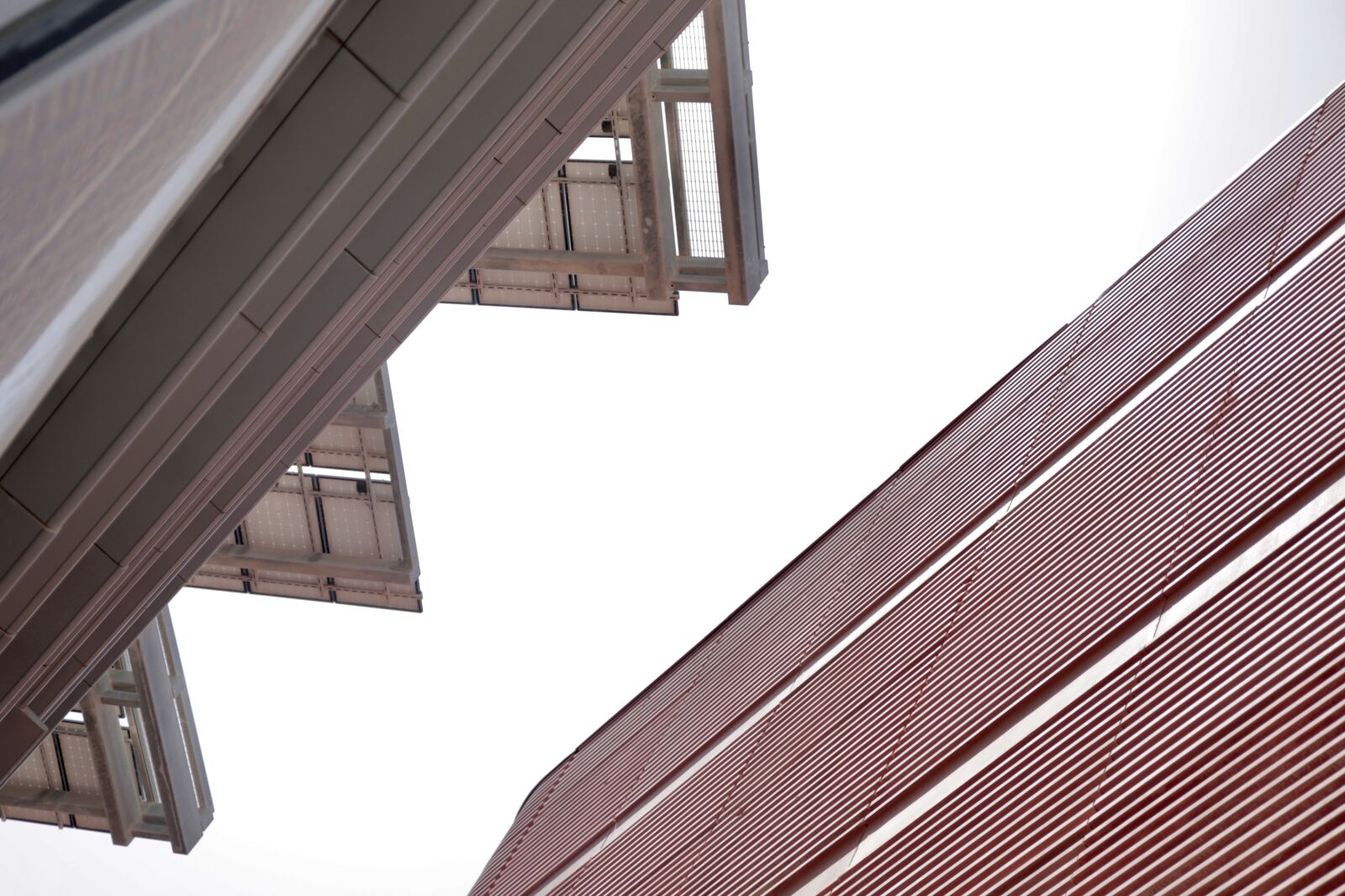Canon EOS 6D sample photo