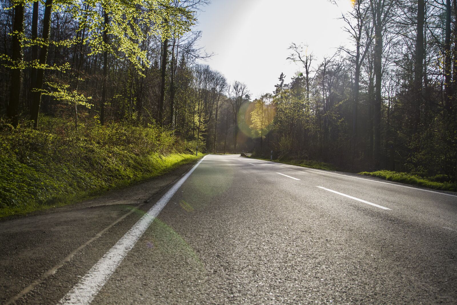 Canon EOS 7D sample photo. Road, forest, nature photography