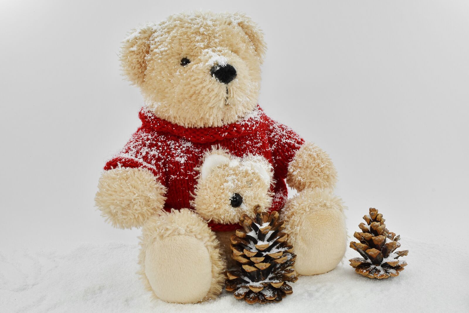 Nikon D5500 sample photo. Conifers, decoration, snow, snowflakes photography