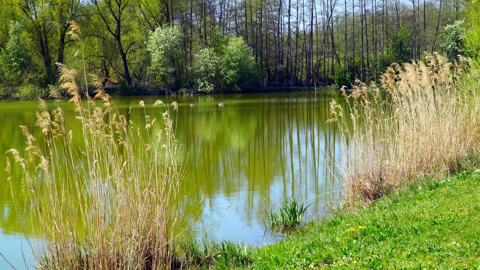 Sony E PZ 18-105mm F4 G OSS sample photo. Lake, water, mirroring photography