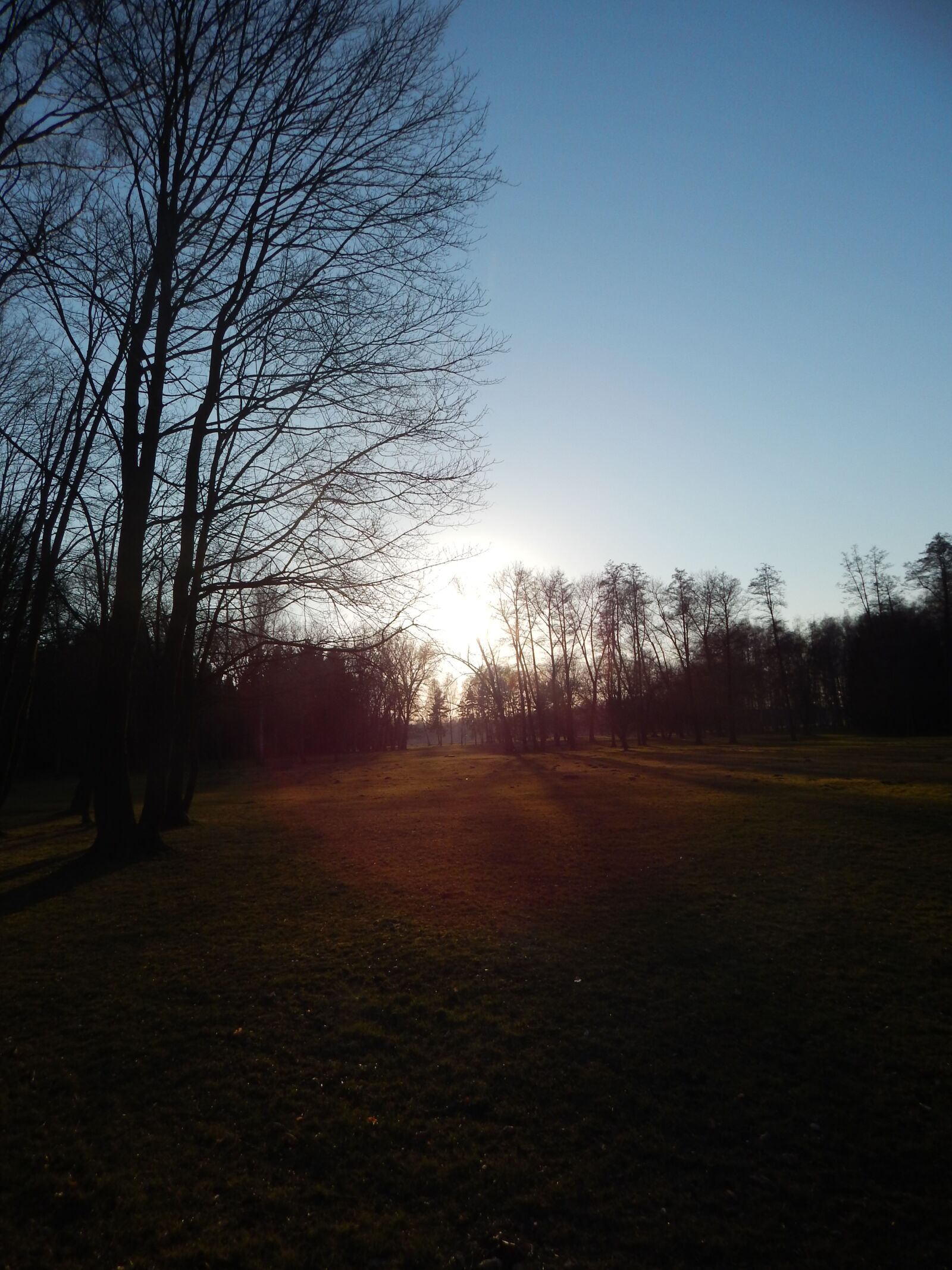 Nikon Coolpix L820 sample photo. Heaven, nature, trees photography