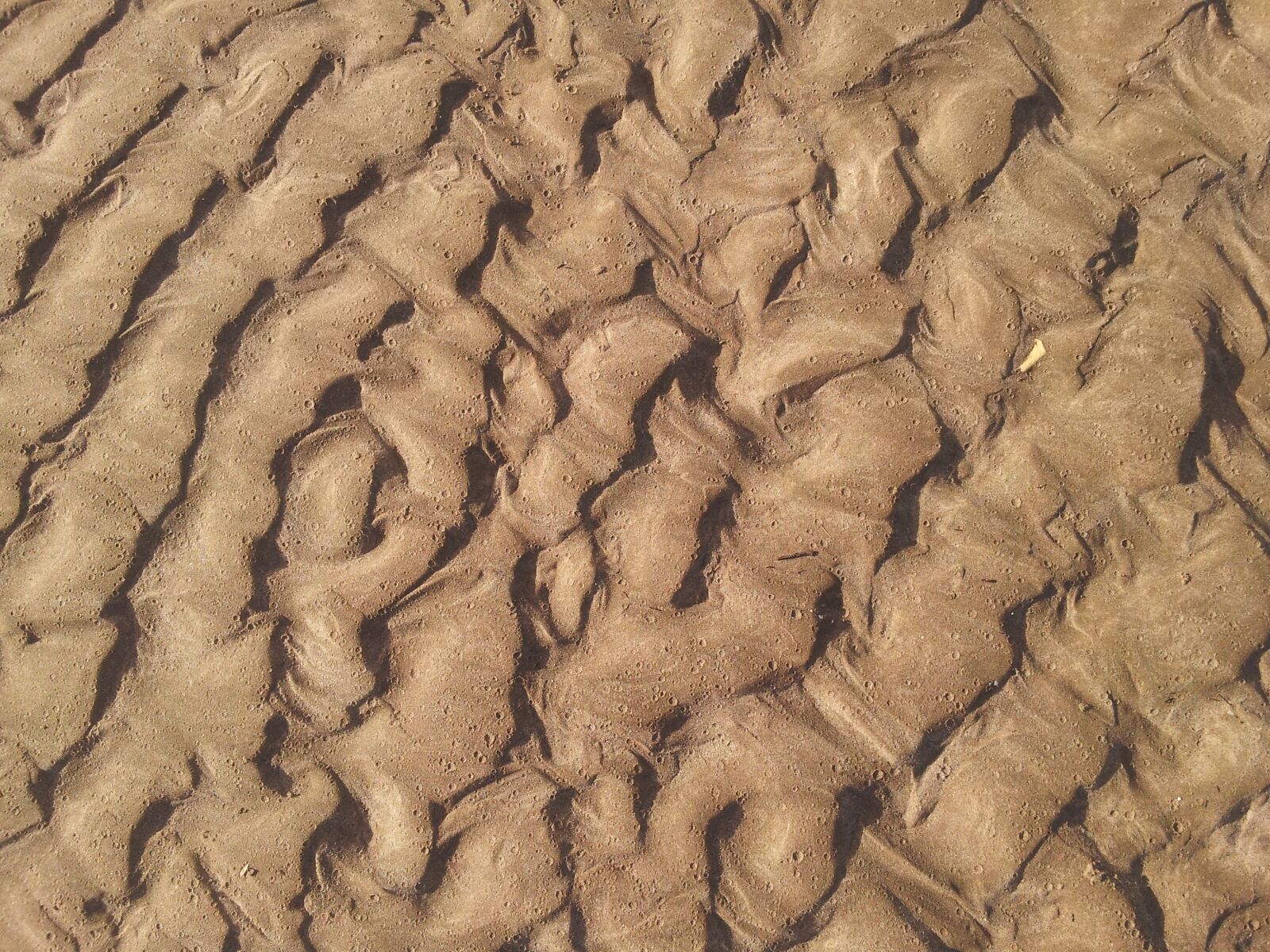 Samsung Galaxy S2 sample photo. Texture, beach, sand photography