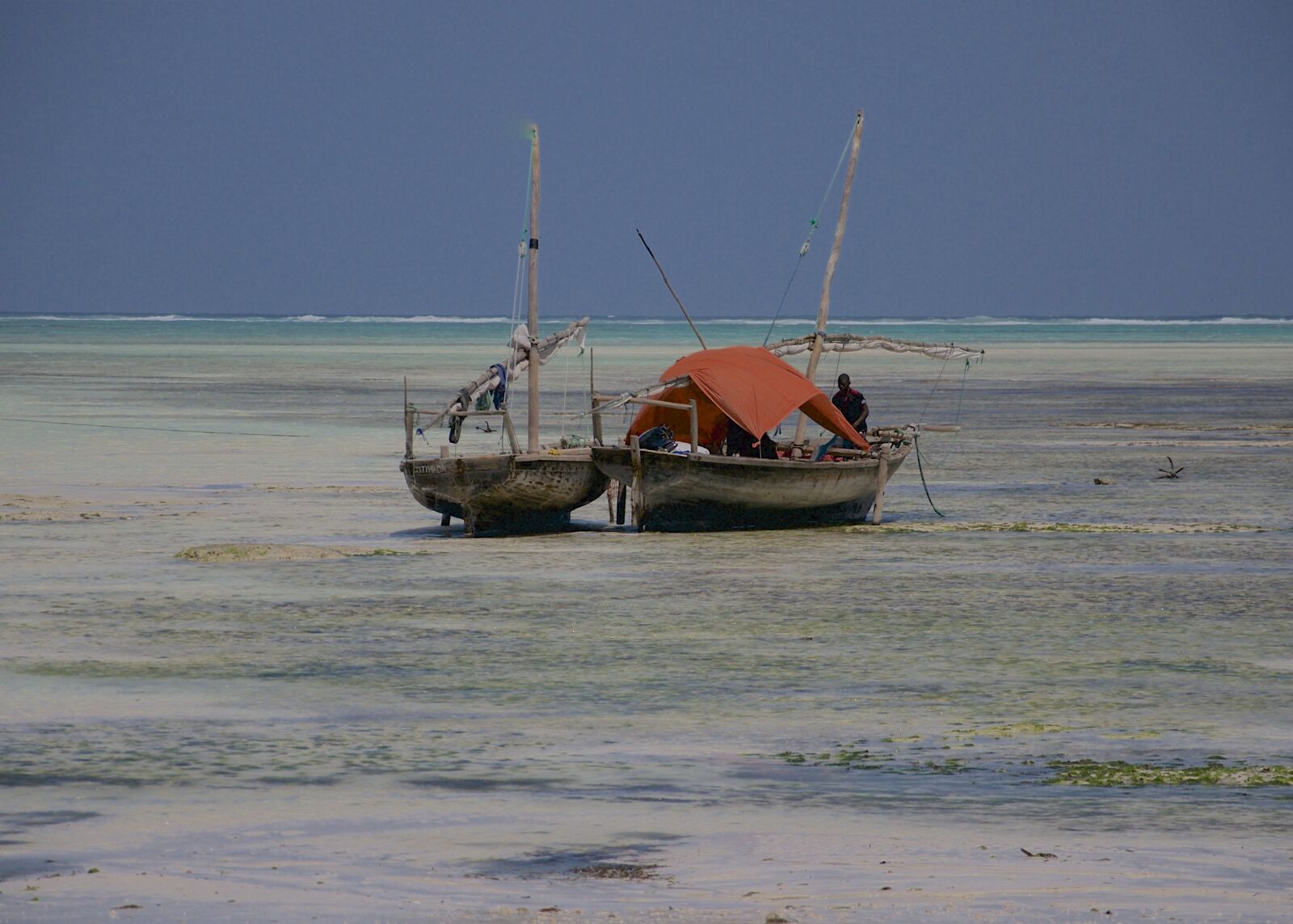 Nikon D300 sample photo. Zanzibar, indian ocean, tanzania photography