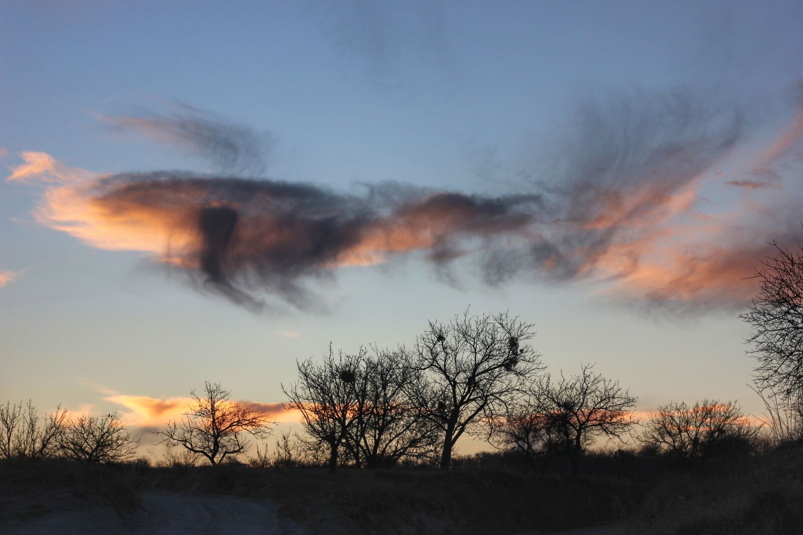 Canon EOS 600D (Rebel EOS T3i / EOS Kiss X5) + Canon EF 50mm F1.8 II sample photo. Clouds, colors, trees photography