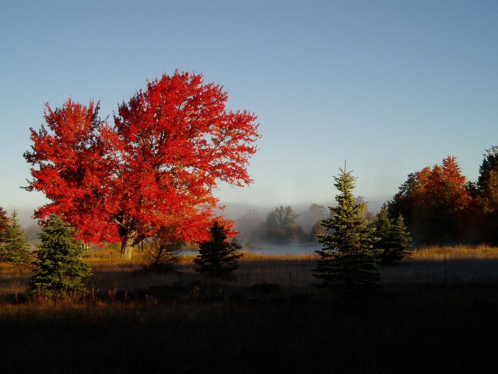 Olympus u10D,S300D,u300D sample photo. Fall colors, foliage, nature photography