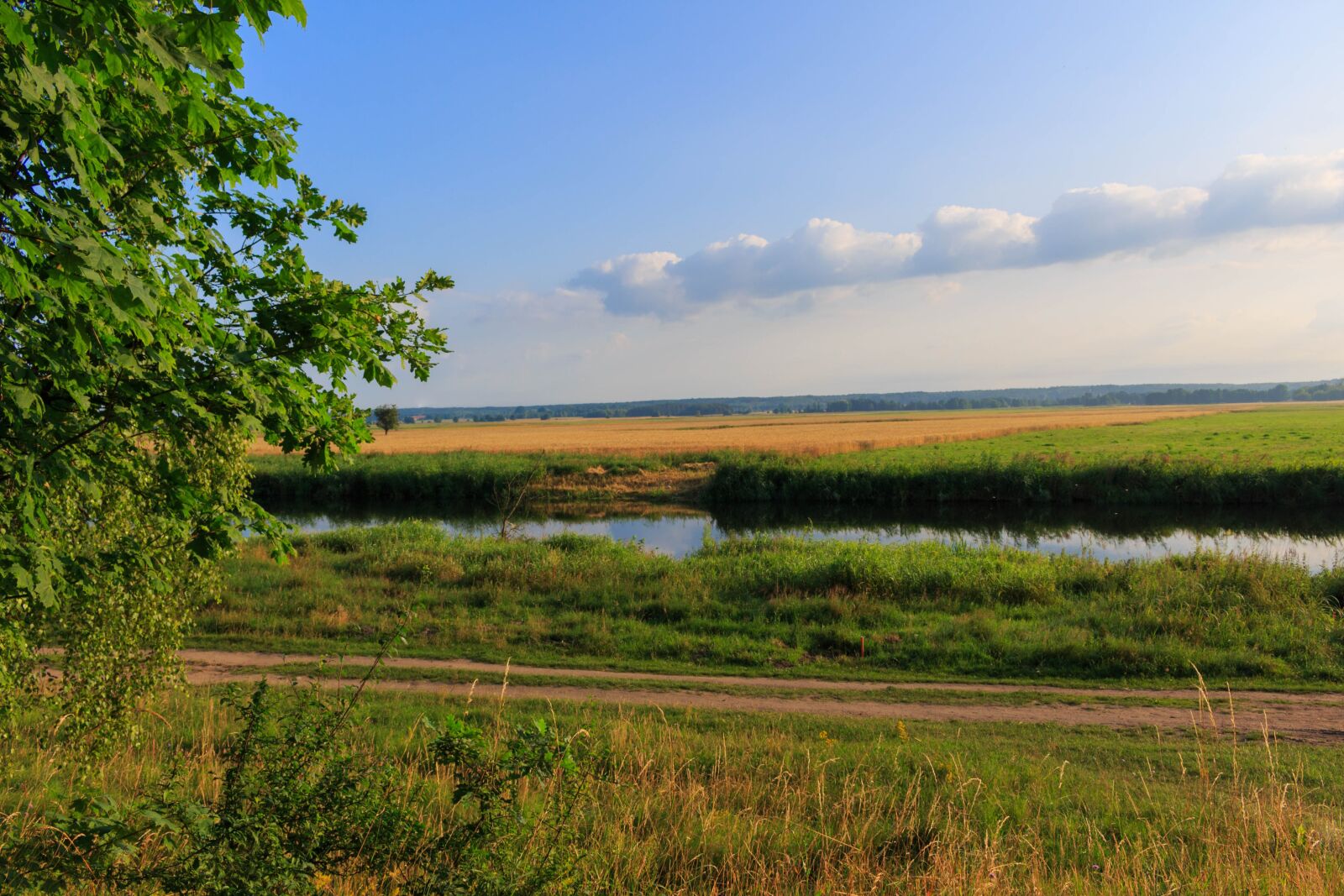 Canon EOS 100D (EOS Rebel SL1 / EOS Kiss X7) sample photo. River, landscape, sunrise photography