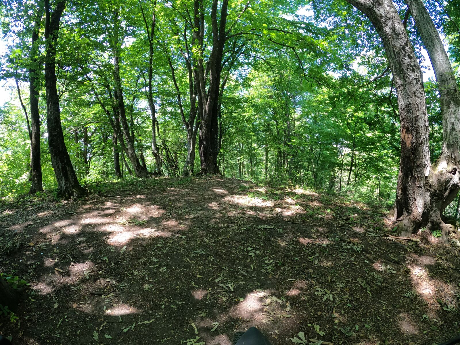 GoPro Hero8 Black sample photo. Nature, forest, mountains photography