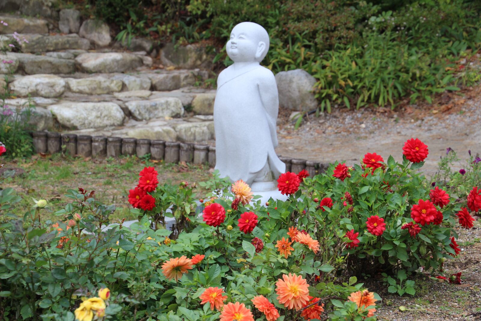 Canon EOS 100D (EOS Rebel SL1 / EOS Kiss X7) sample photo. Dahlia, temple, garden photography