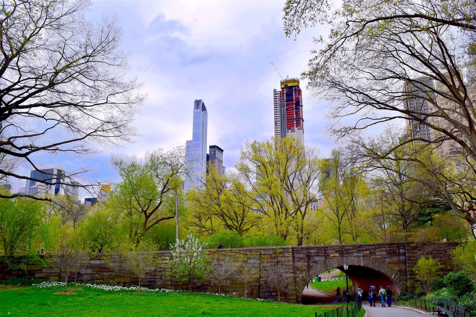 Nikon D3300 sample photo. Central park, nyc, spring photography