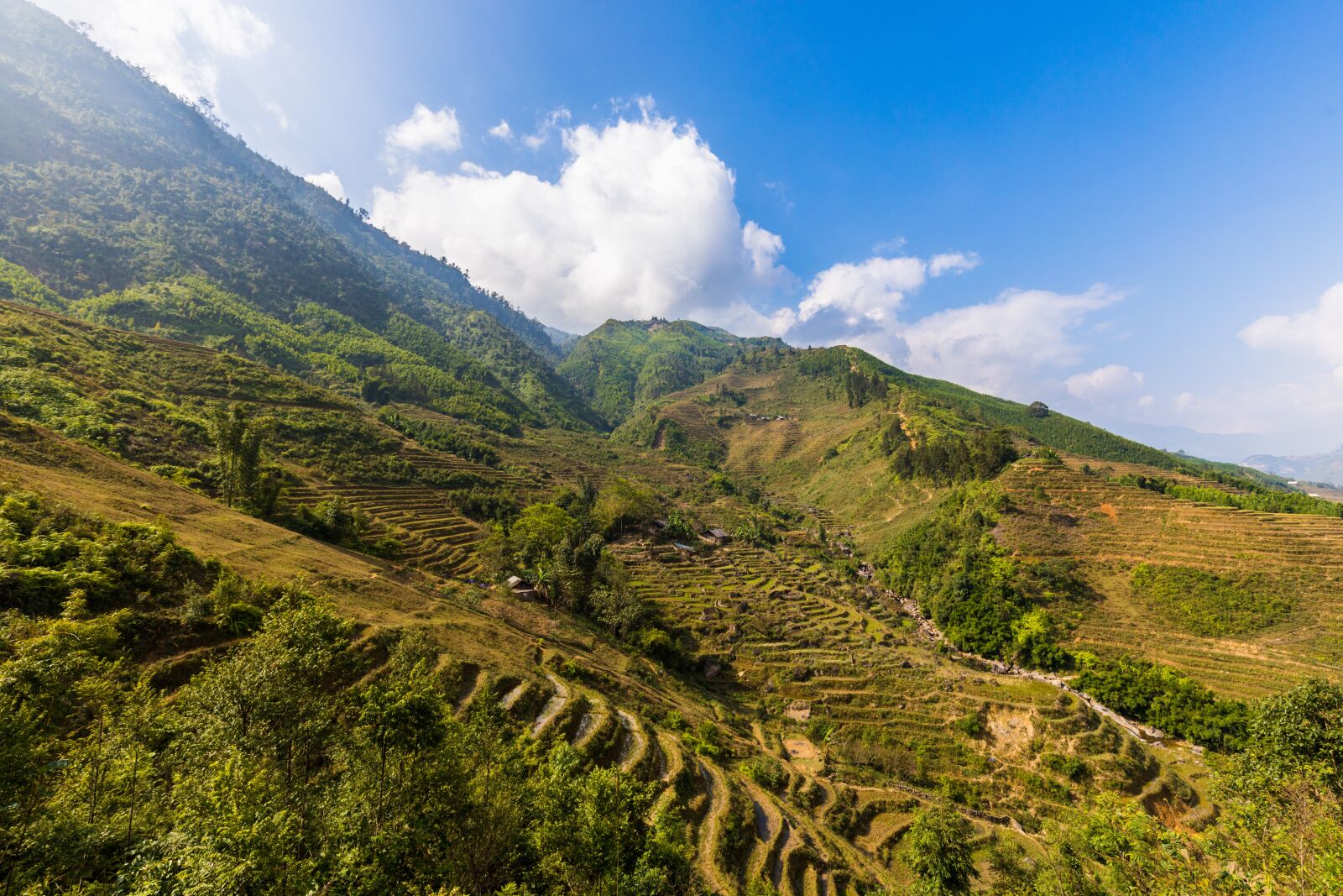Canon EF 16-35mm F4L IS USM sample photo. Sapa, vietnam, rice fields photography